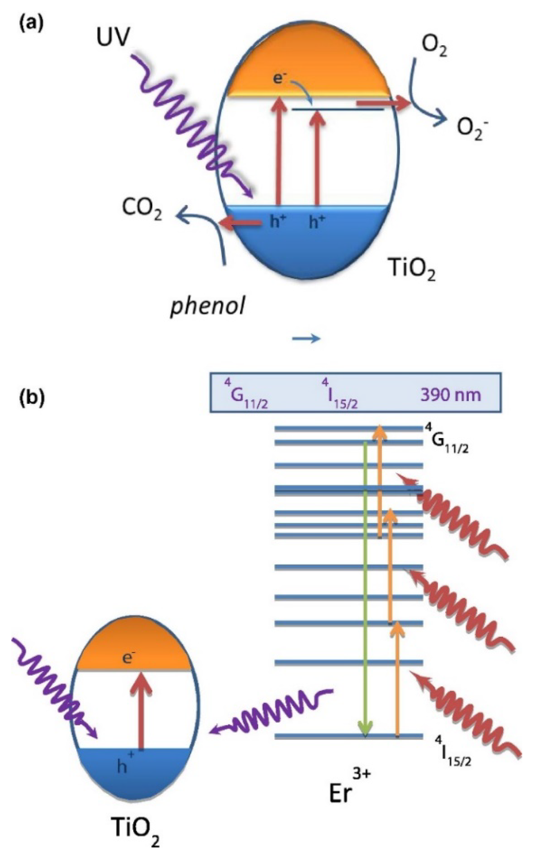 Molecules 25 04008 g002a