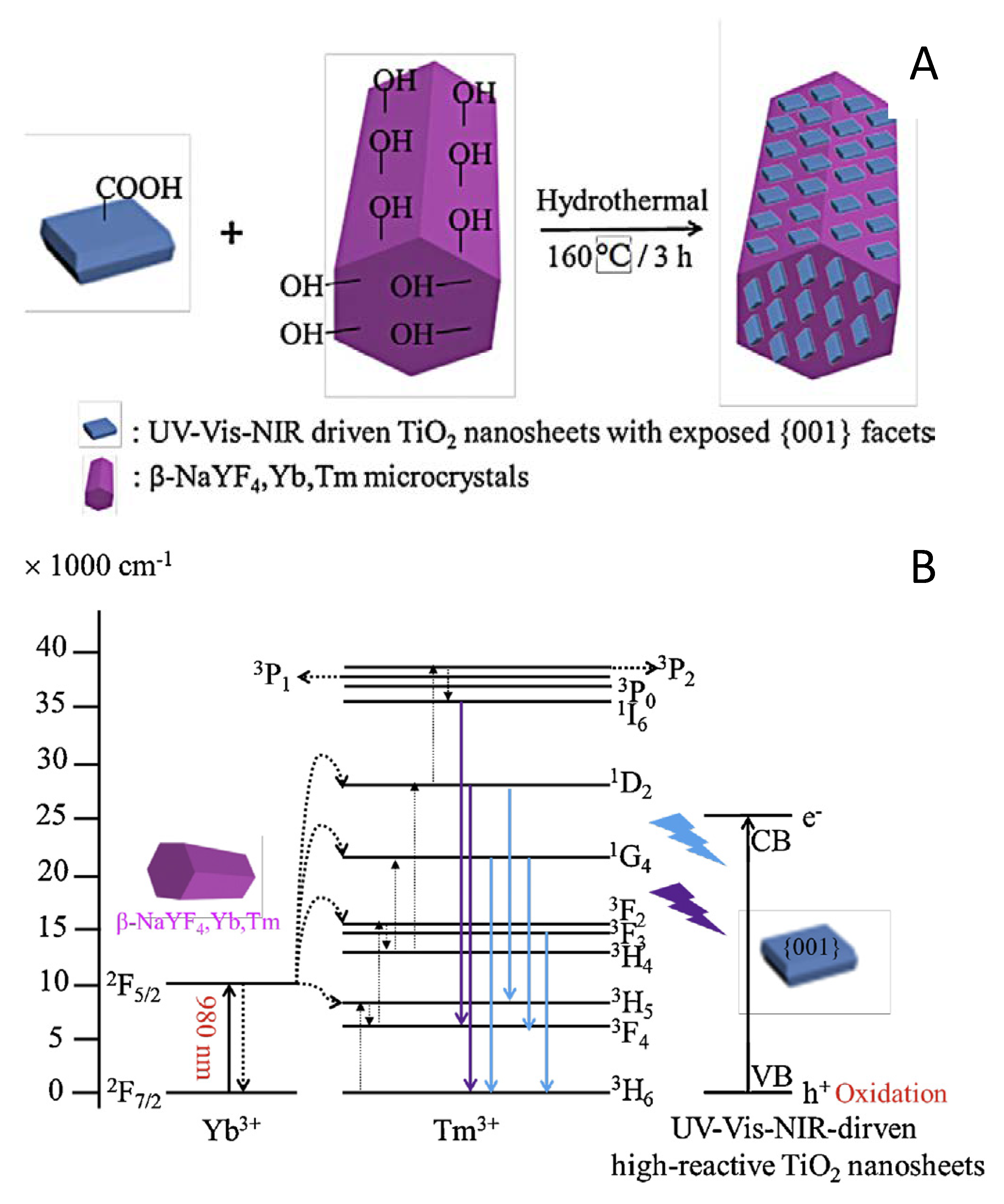 Molecules 25 04008 g008