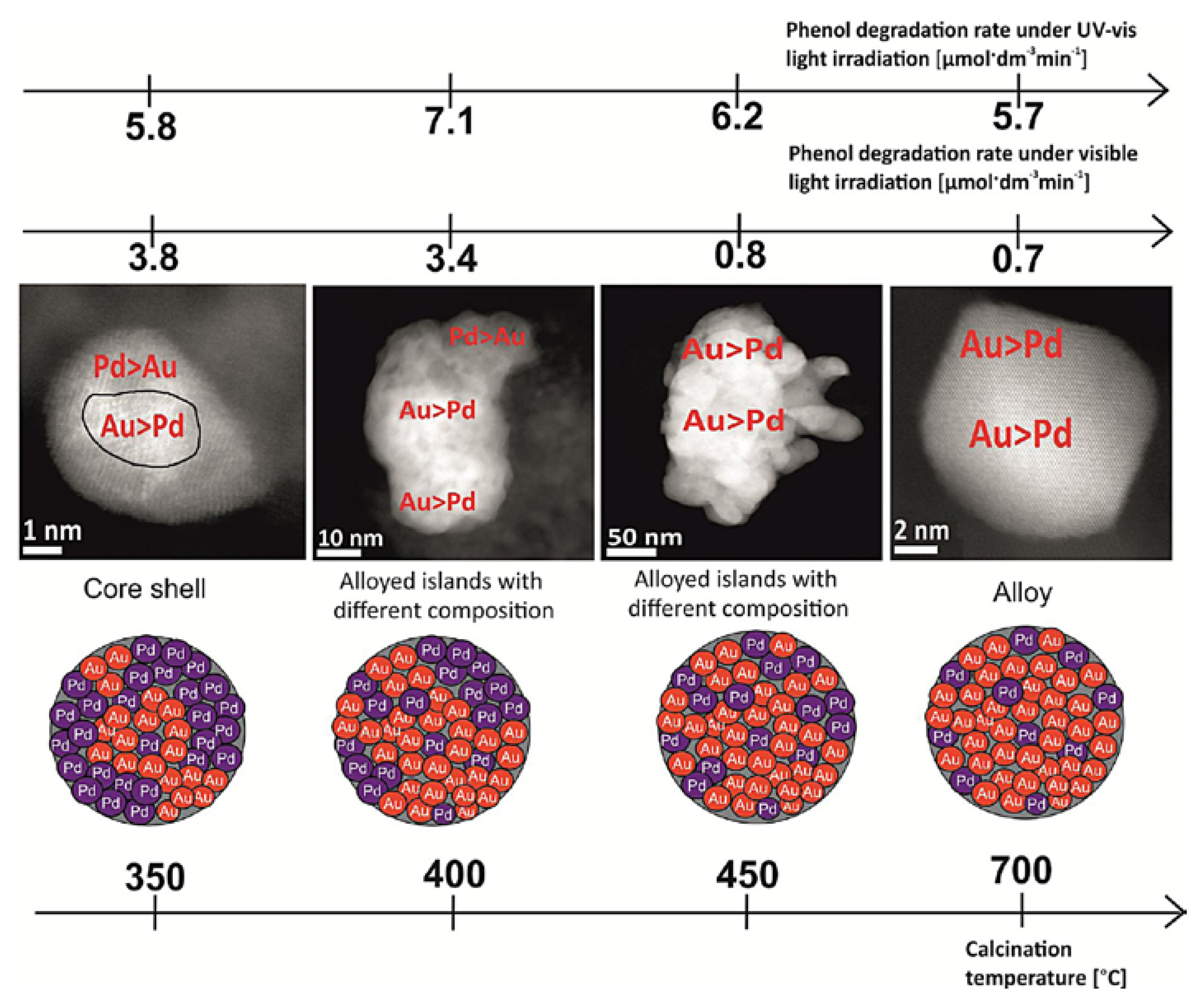 Molecules 25 04008 g009