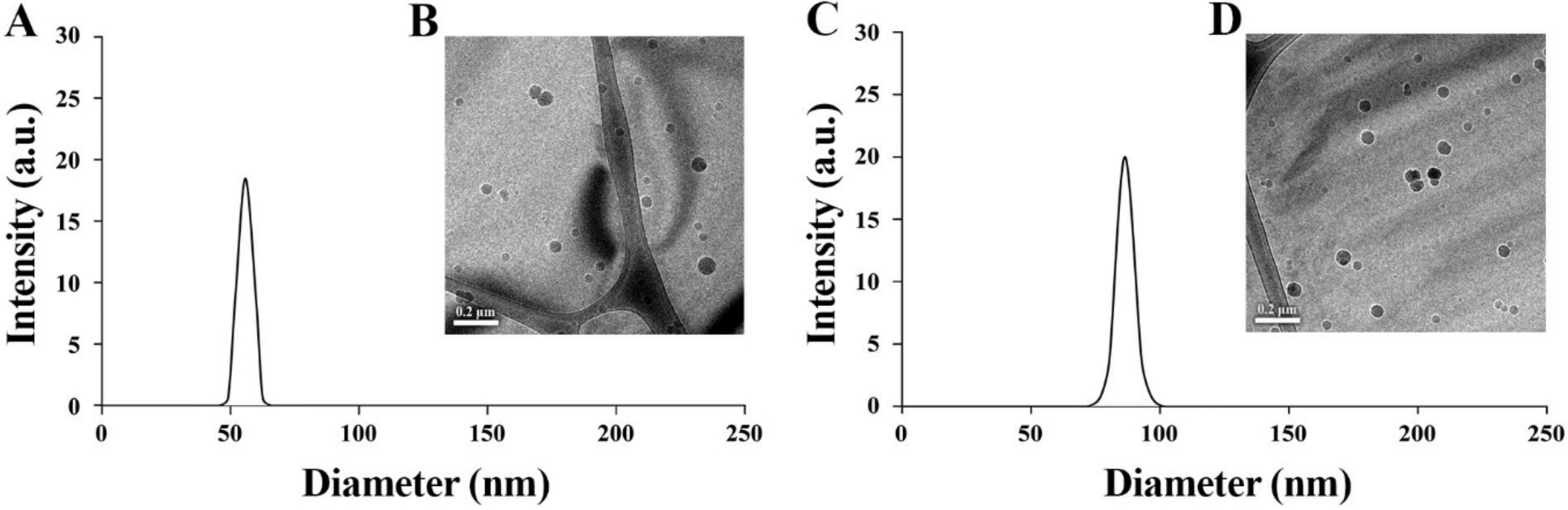 Molecules 25 04013 g003