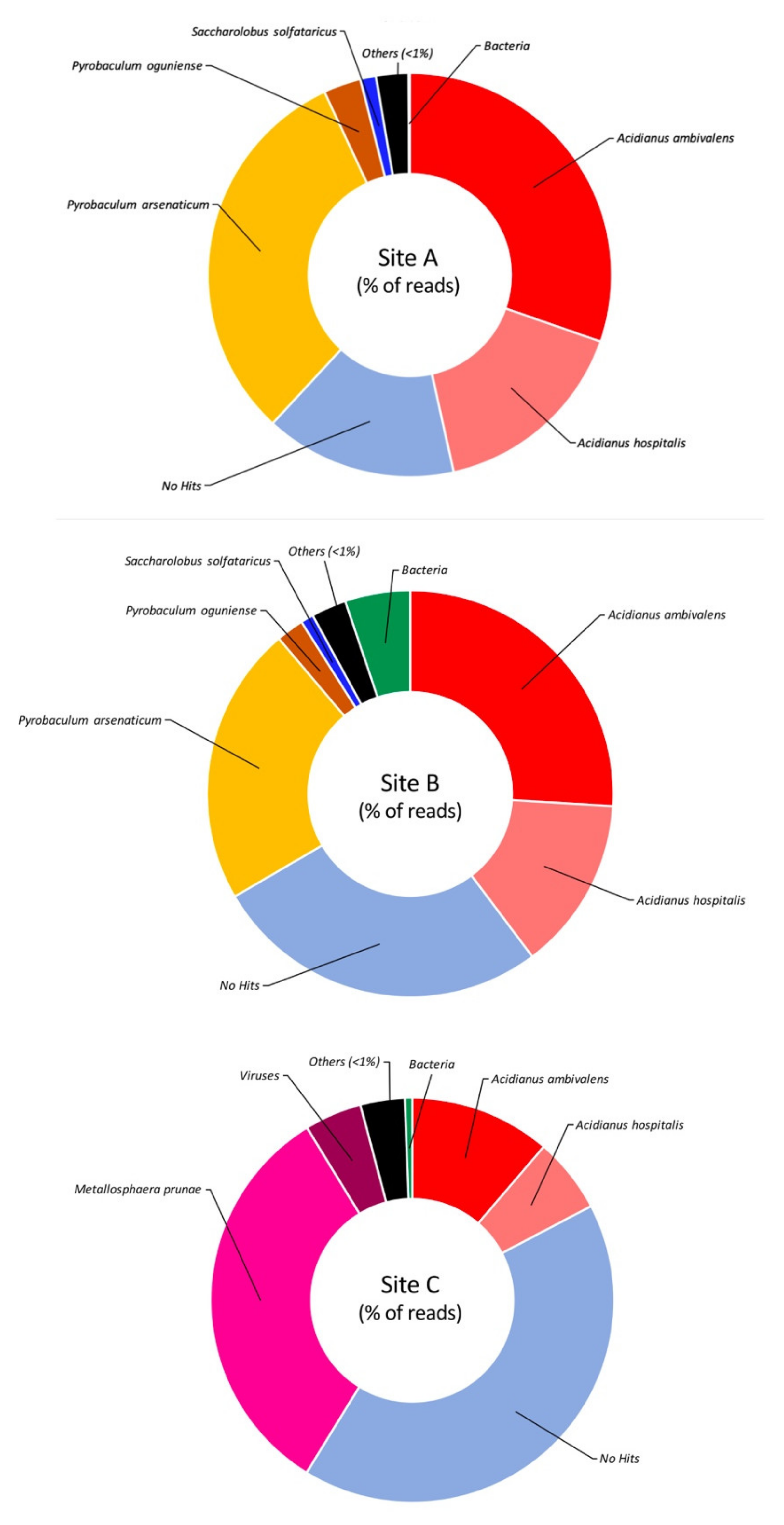 Molecules 25 04023 g004