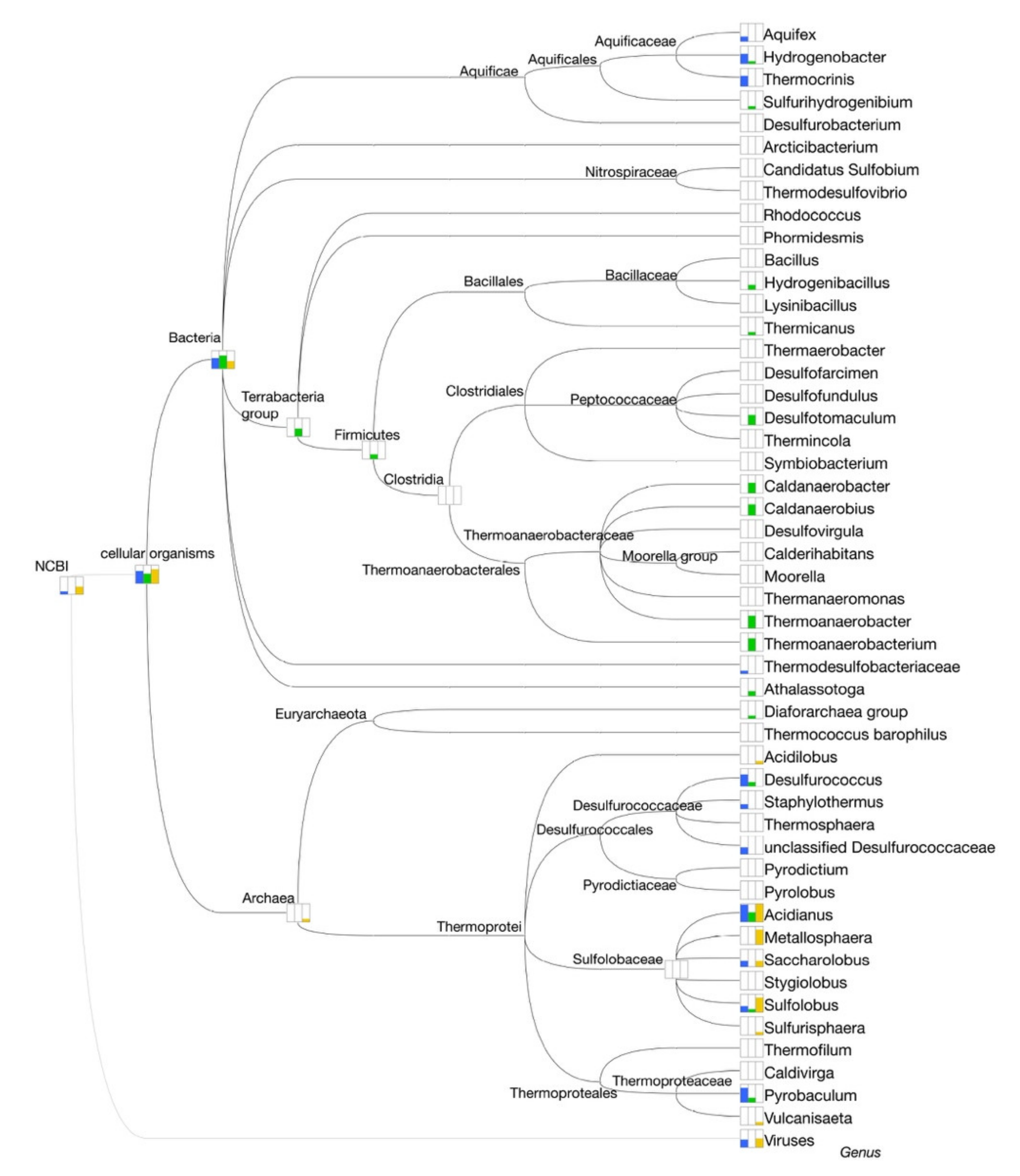 Molecules 25 04023 g008