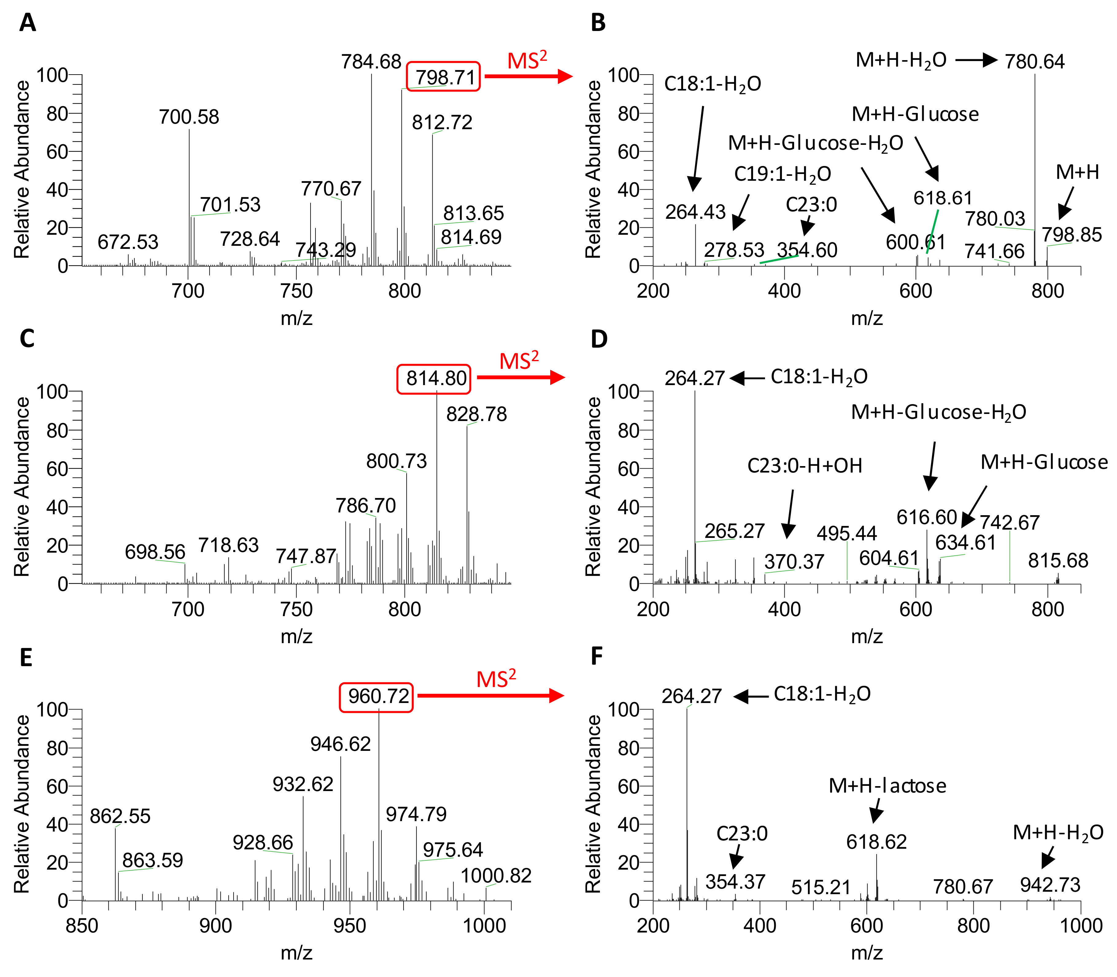Molecules 25 04024 g004 Molecules 25 04024 g004