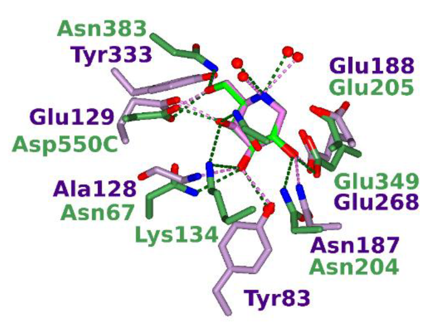 Molecules 25 04025 g004
