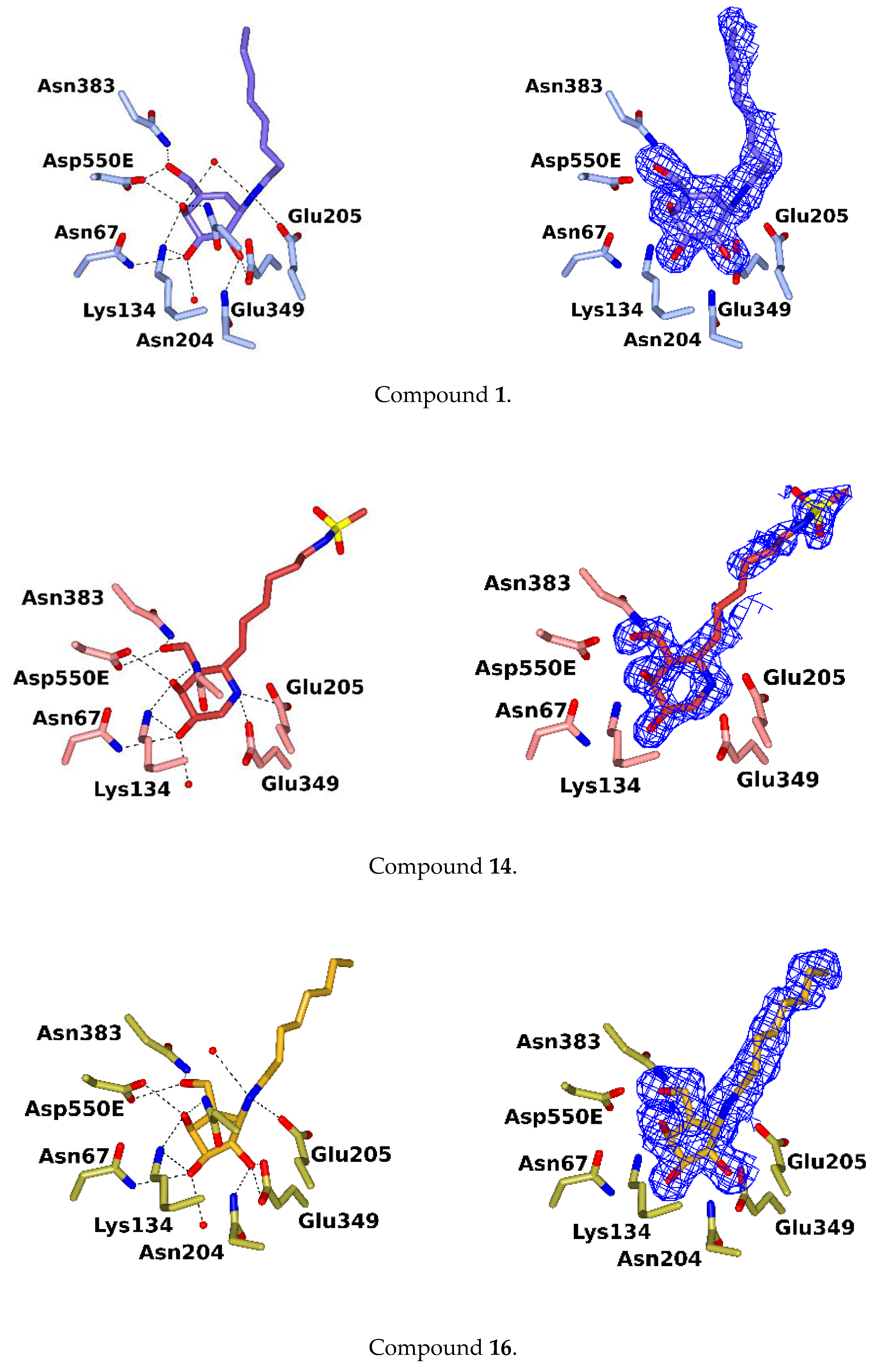 Molecules 25 04025 g005a