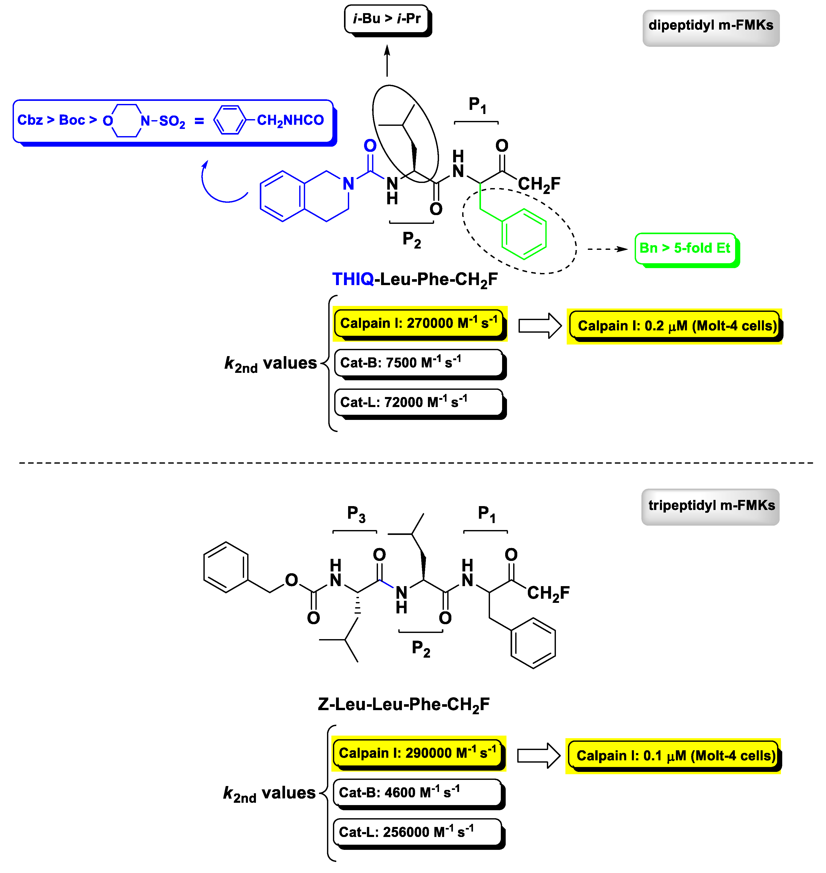 Molecules 25 04031 g006