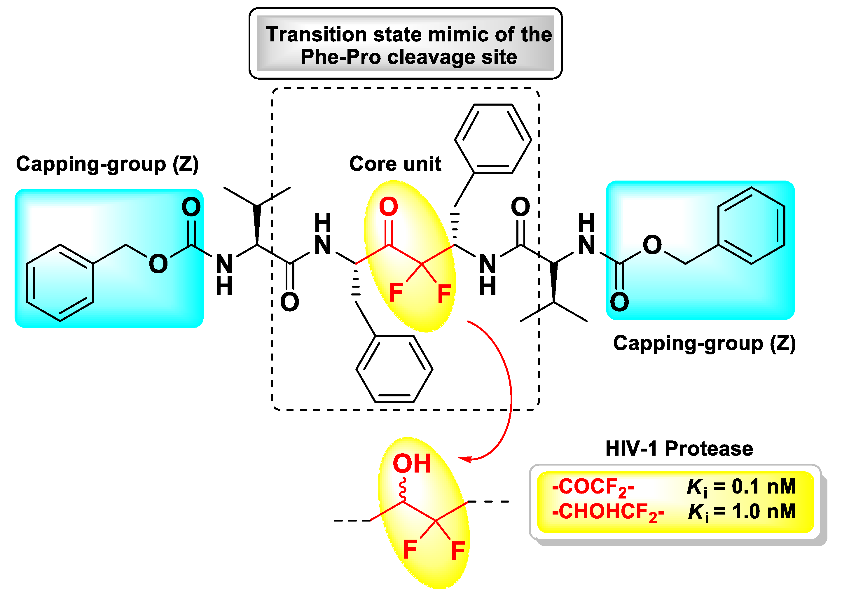 Molecules 25 04031 g012