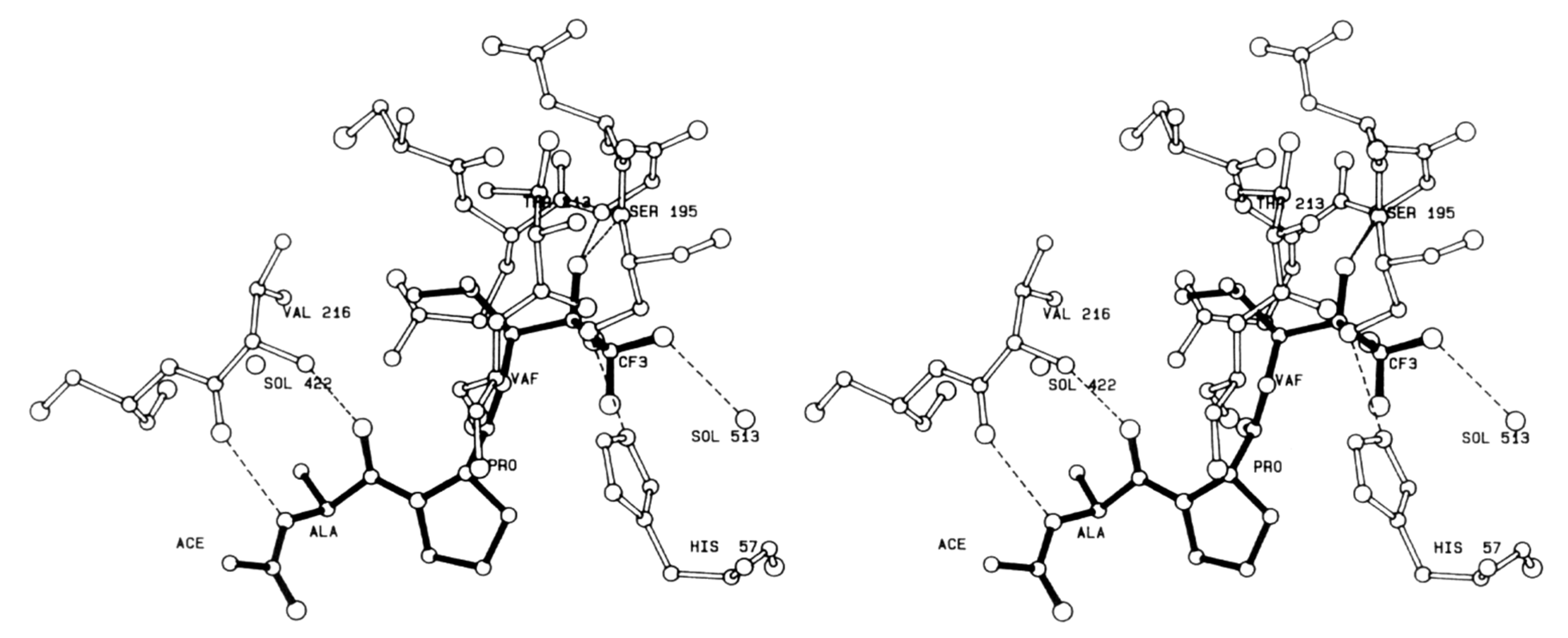 Molecules 25 04031 g014