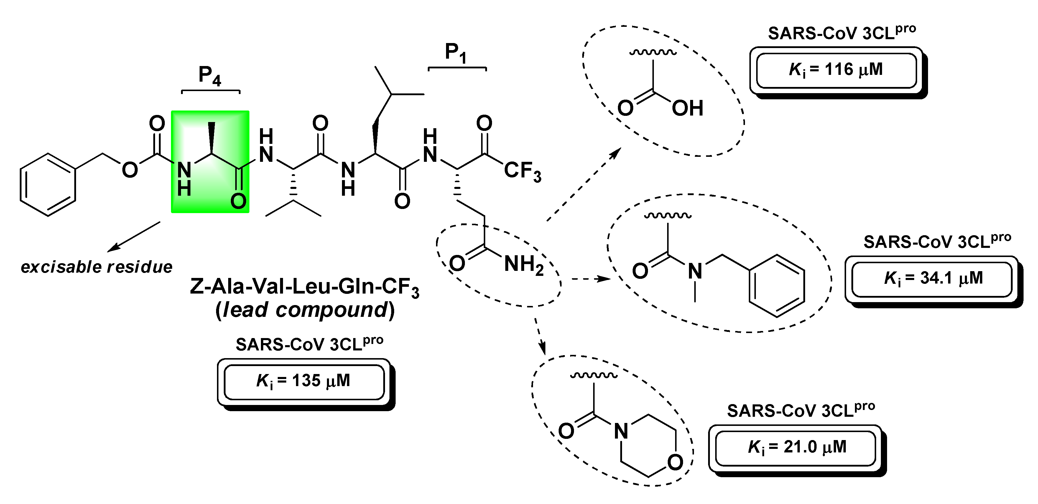Molecules 25 04031 g019