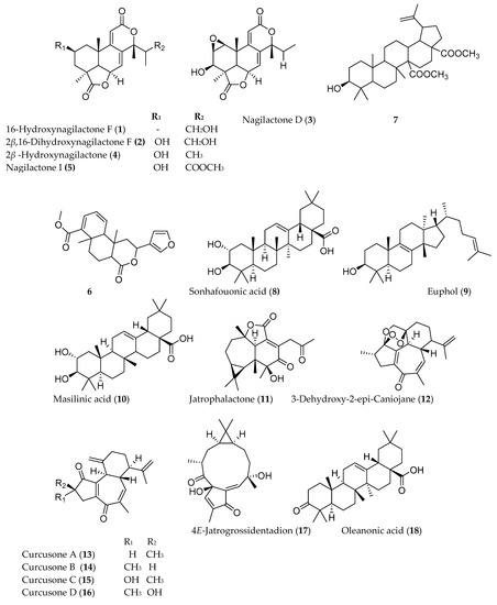 Molecules 25 04032 g002a 550