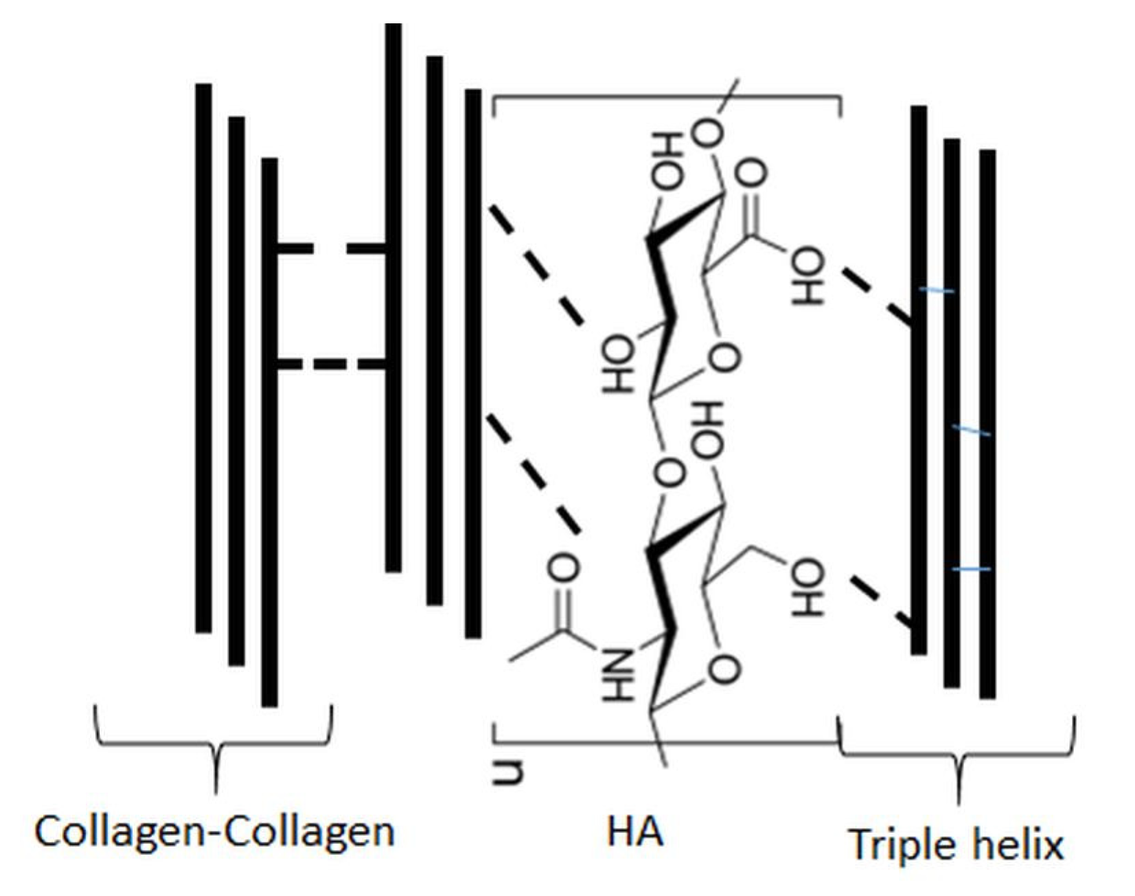 Molecules 25 04035 g002