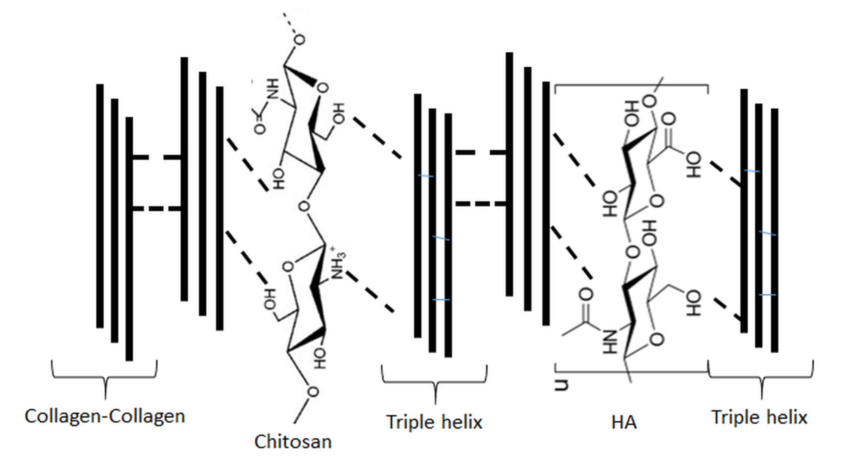 Molecules 25 04035 g005