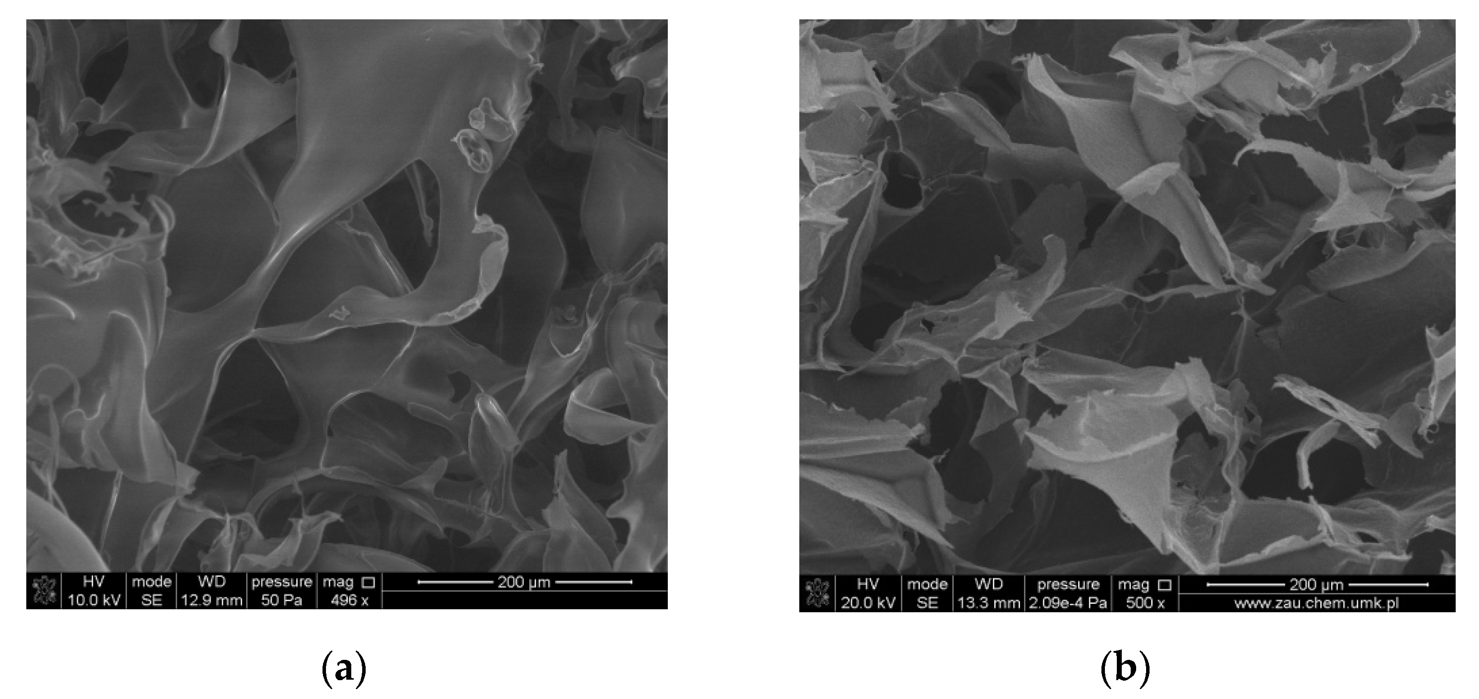 Molecules 25 04035 g007