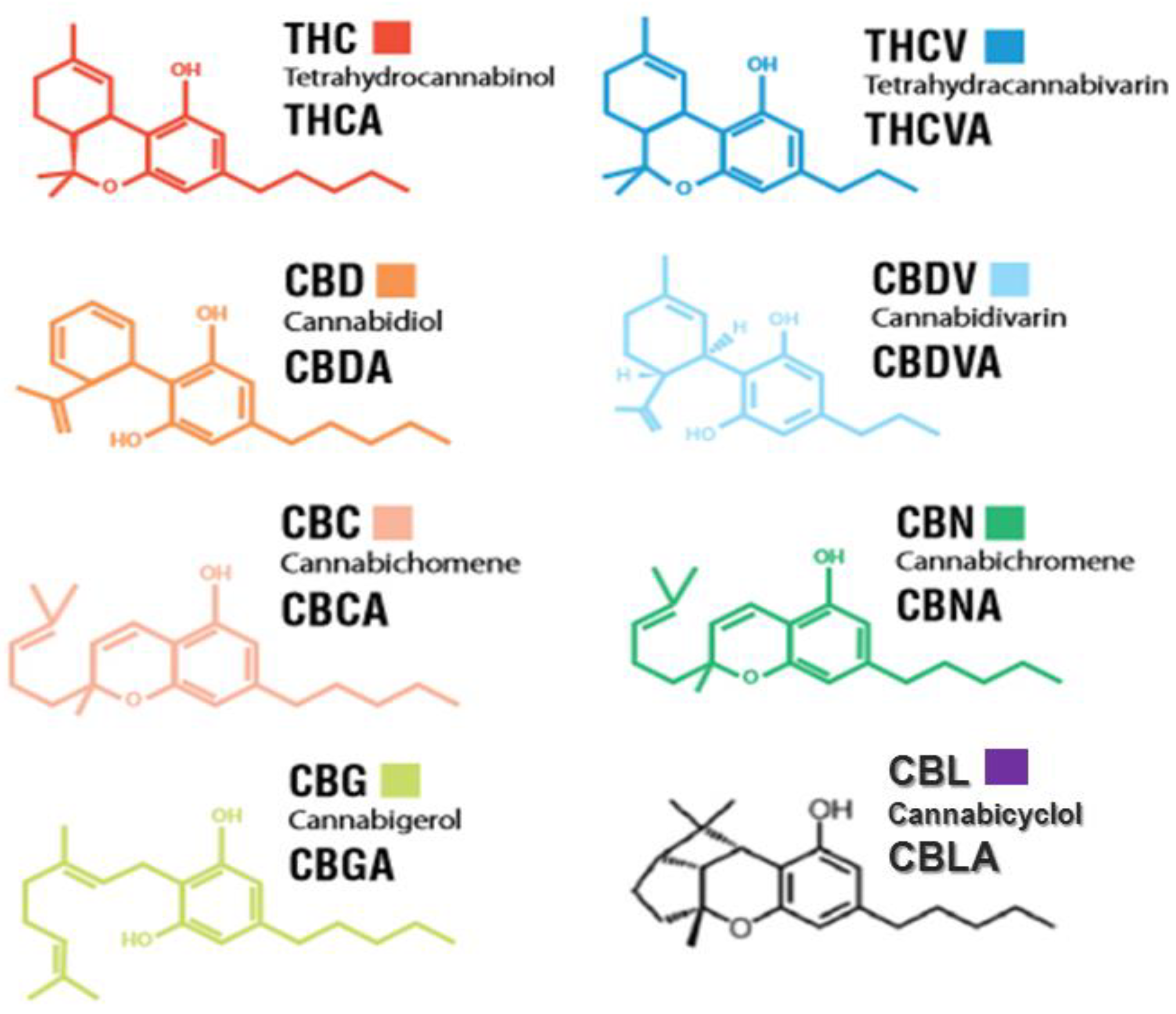 What is the Difference between CBD and CBC: Key Insights