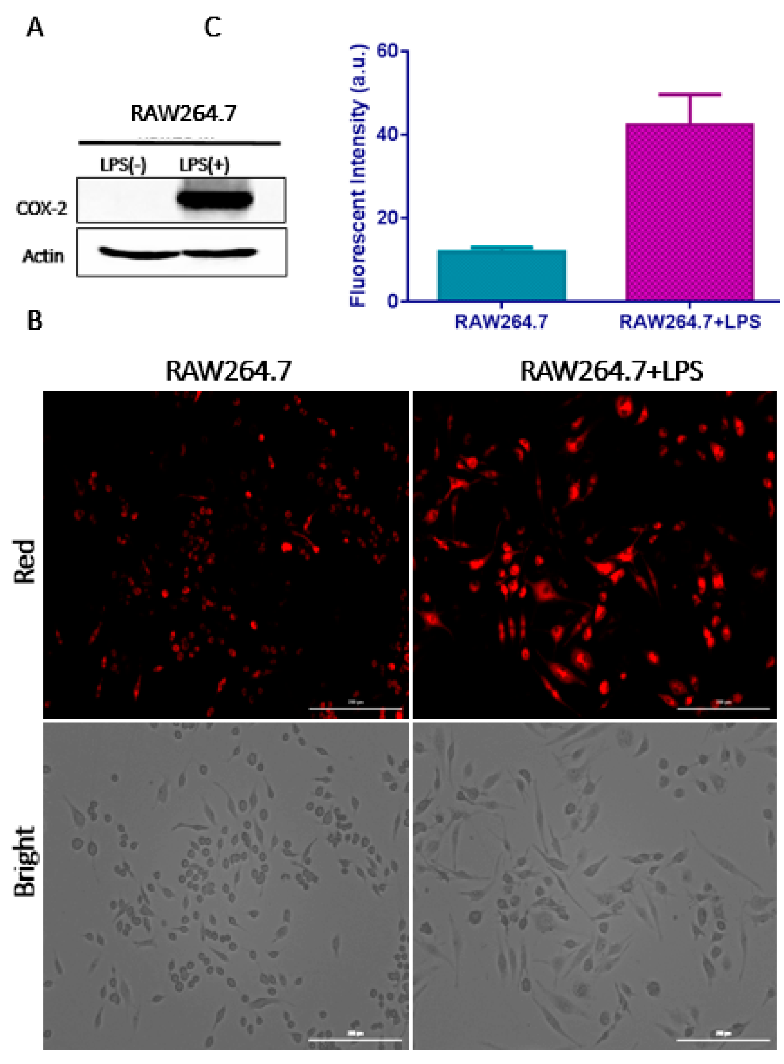 Molecules 25 04037 g006