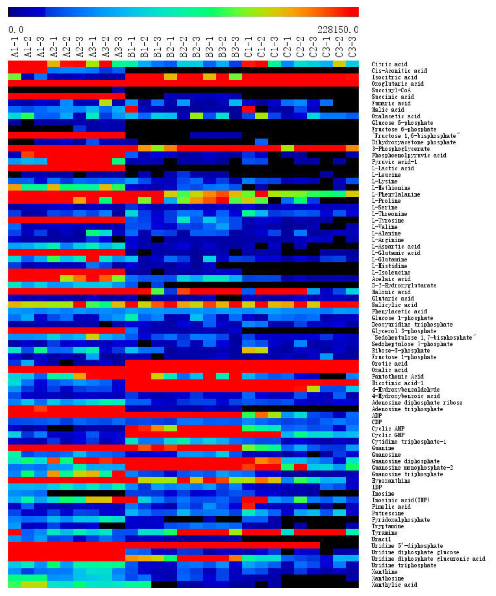 Molecules 25 04038 g003