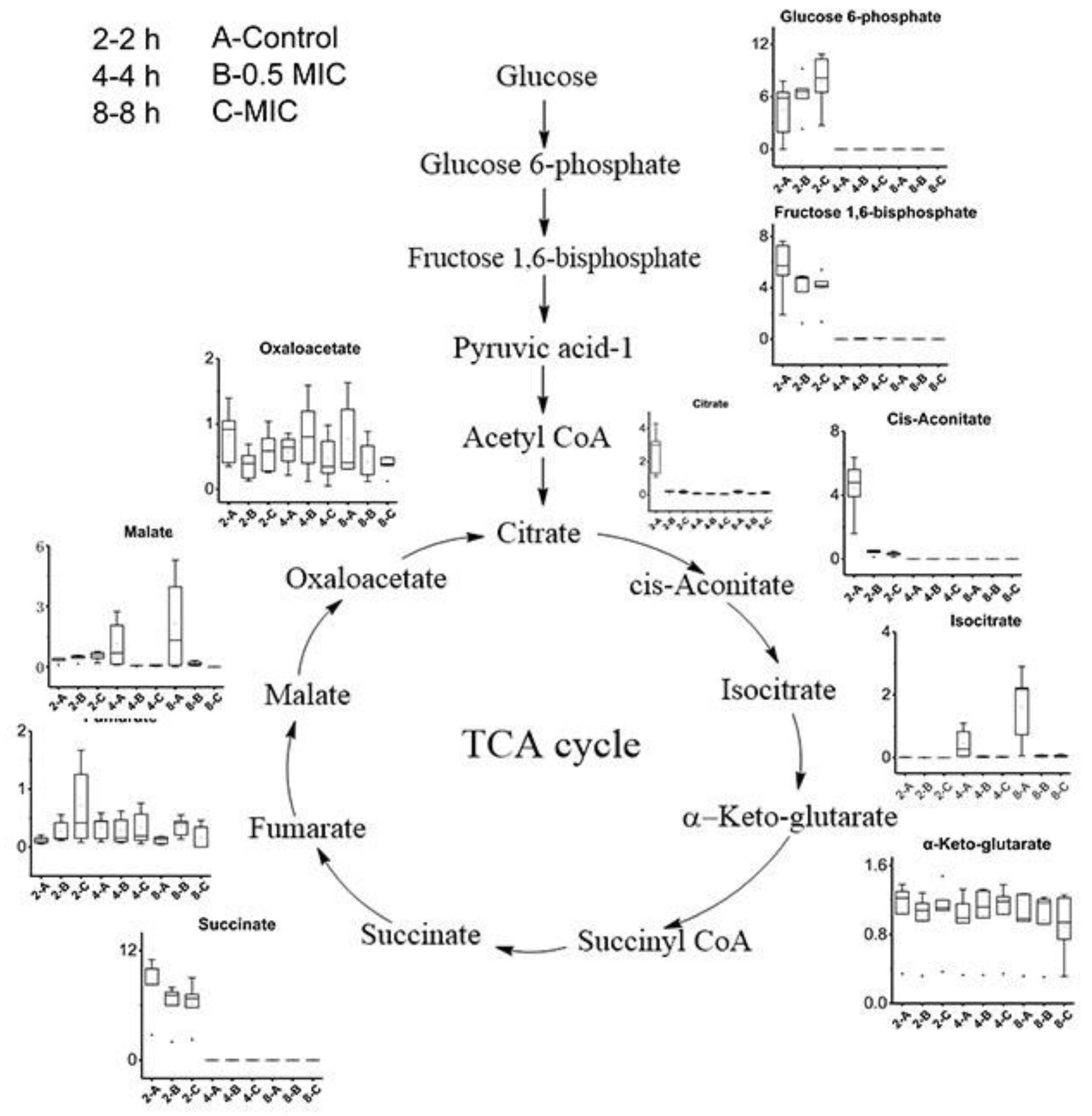 Molecules 25 04038 g005