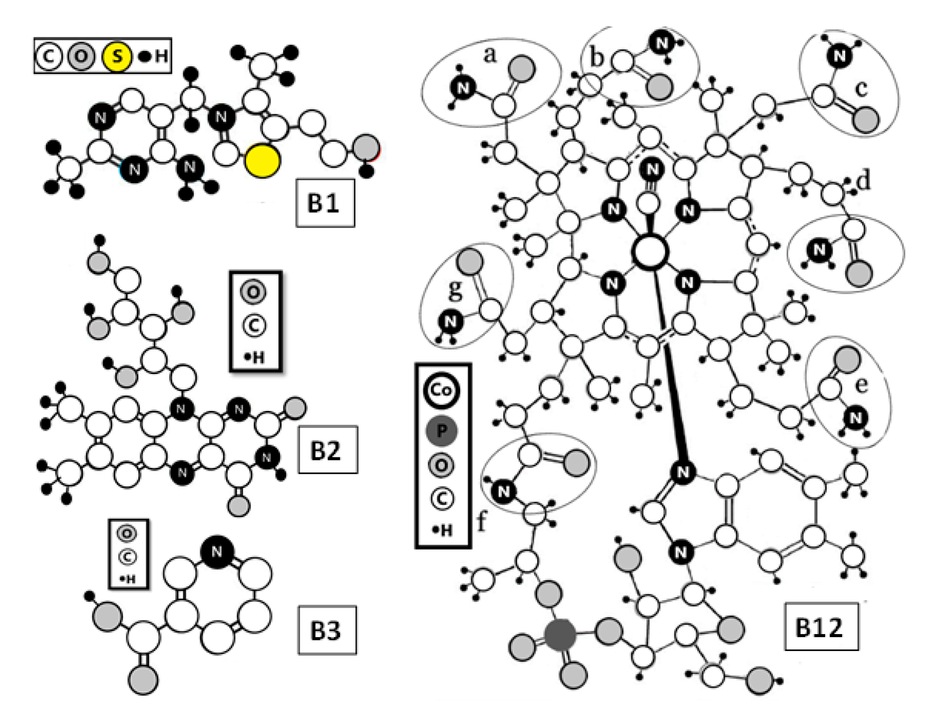 Molecules 25 04041 g003