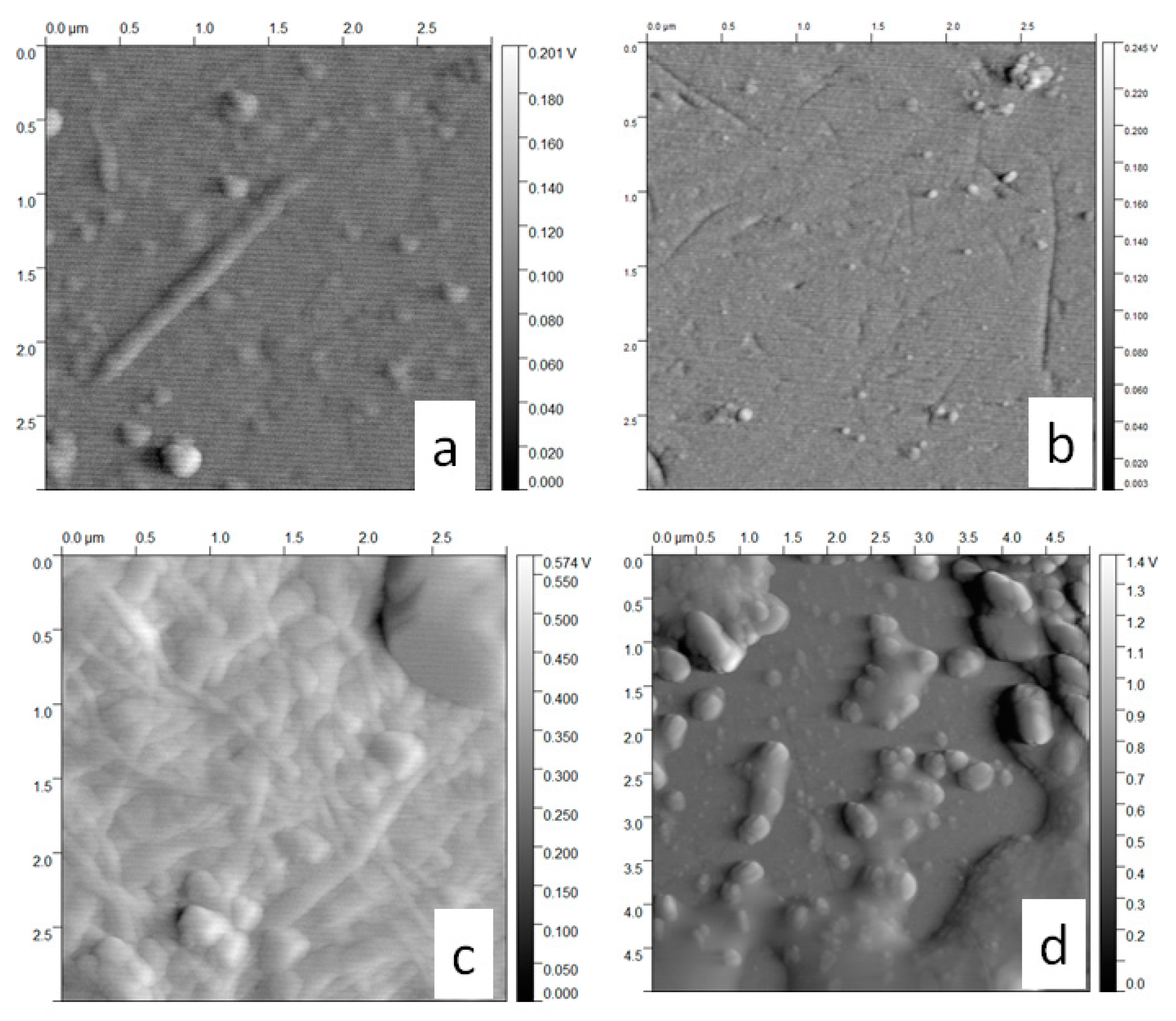Molecules 25 04041 g005