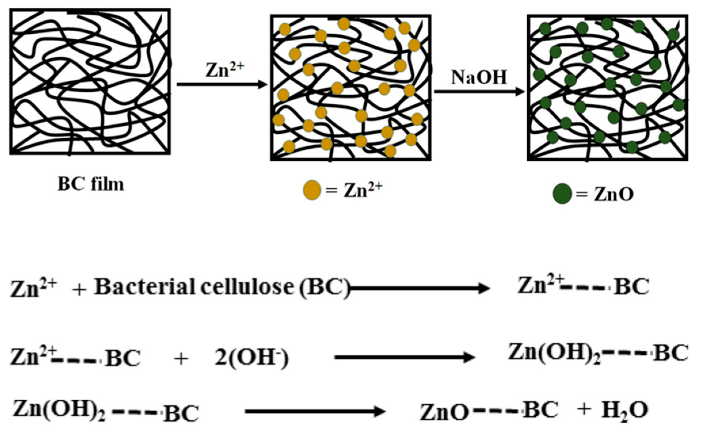 Molecules 25 04045 g003