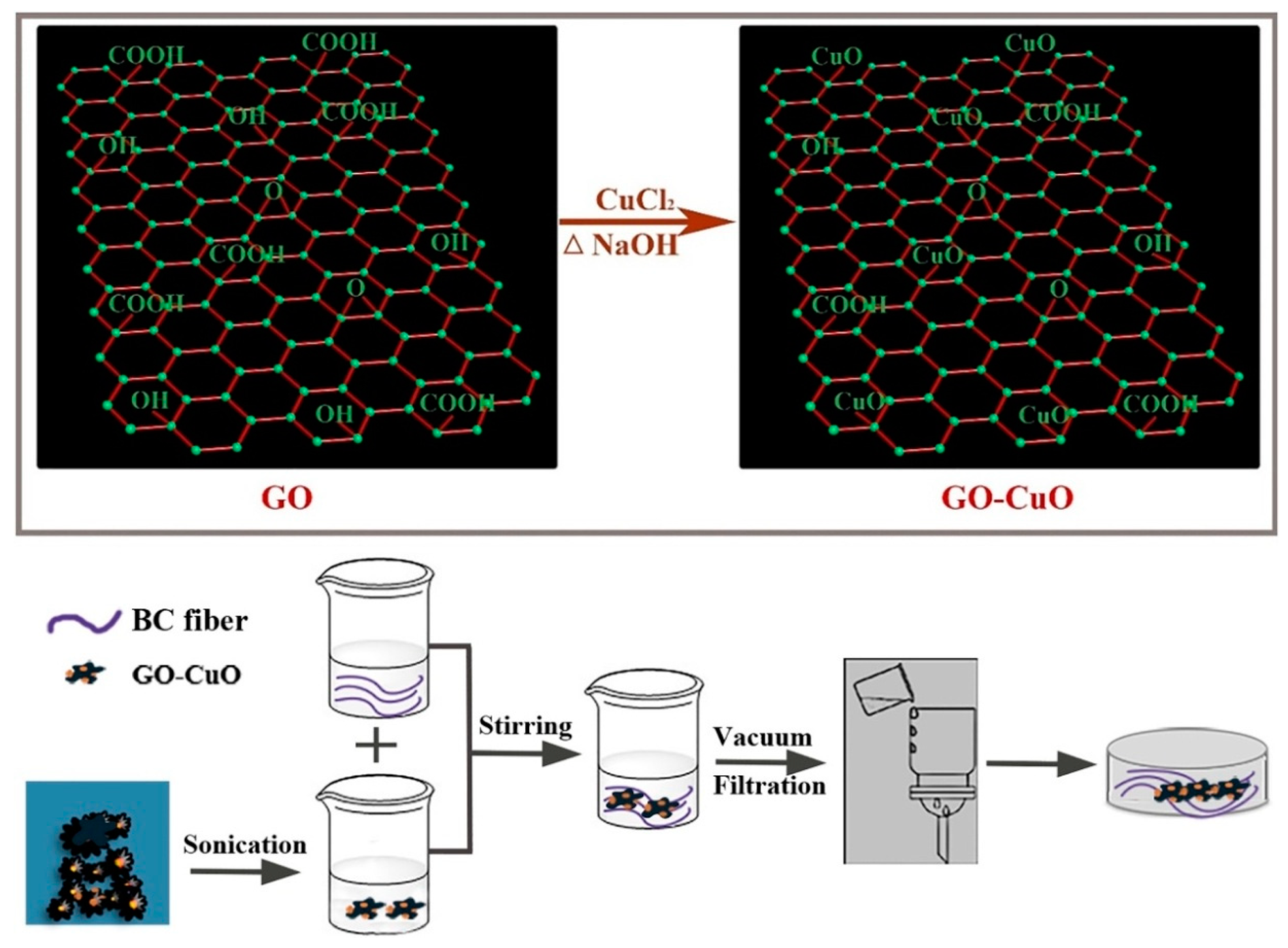 Molecules 25 04045 g005