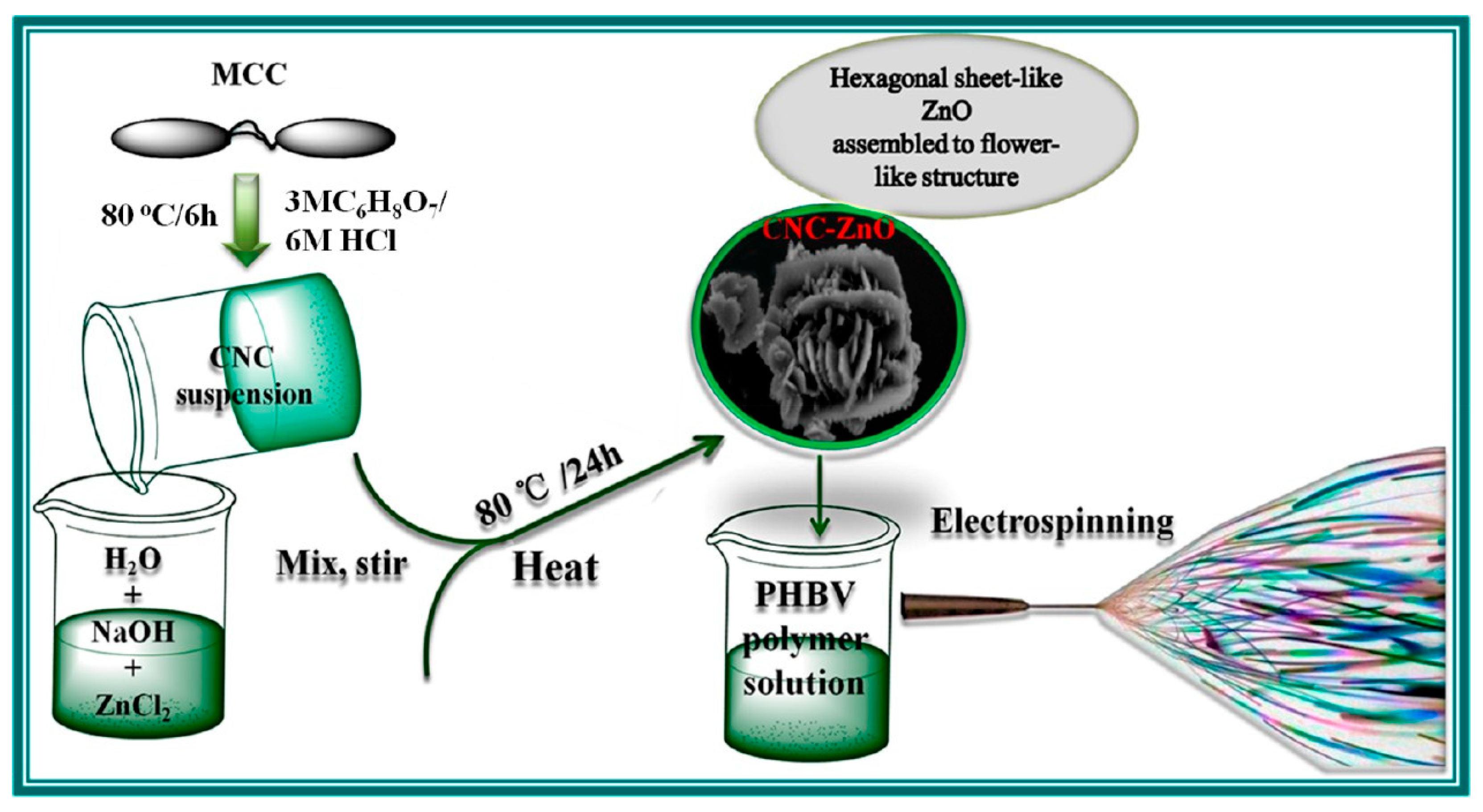 Molecules 25 04045 g006