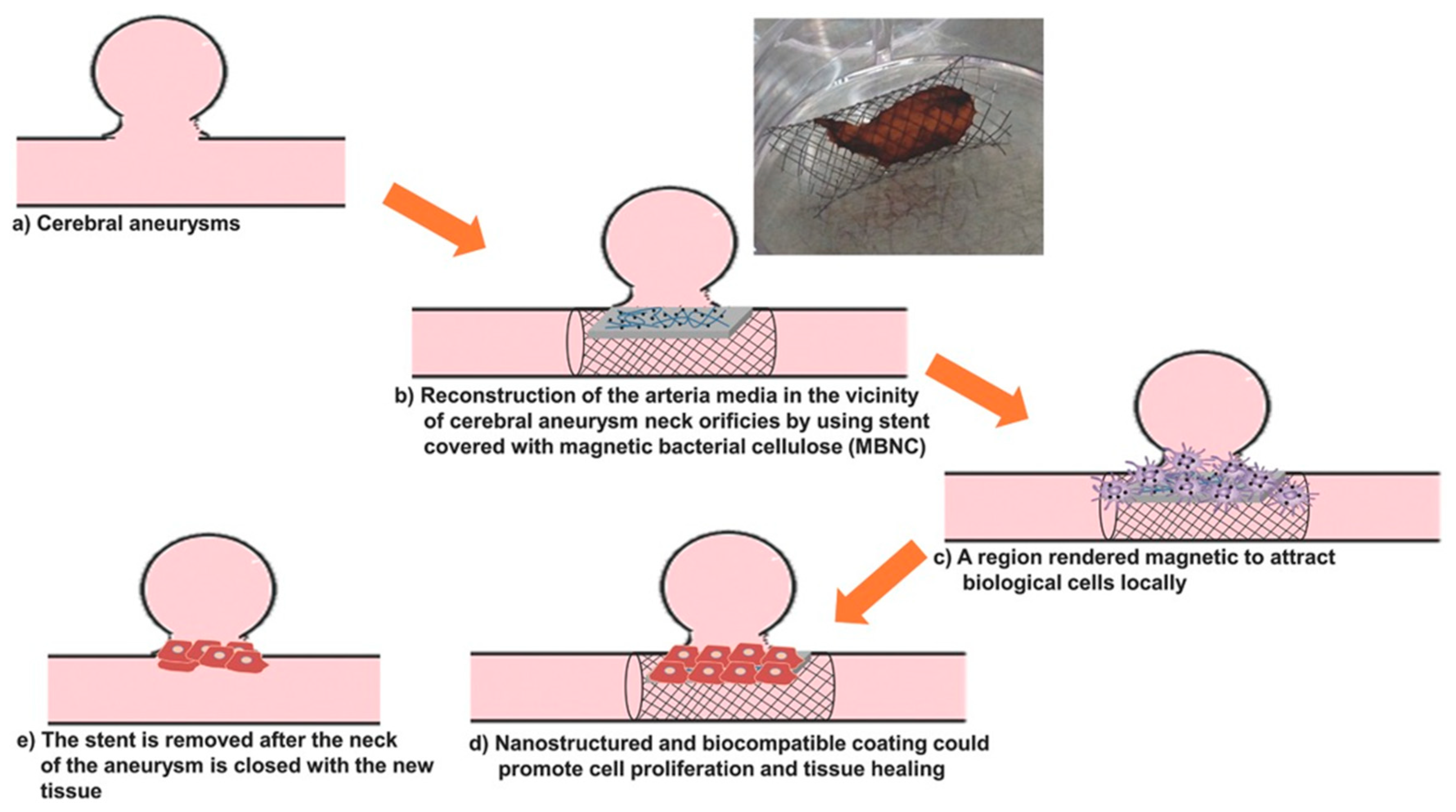 Molecules 25 04045 g007