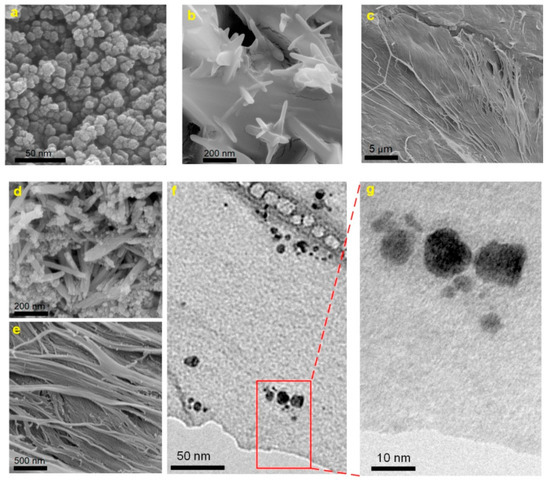 Molecules 25 04045 g008 550