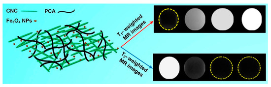 Molecules 25 04045 g009 550