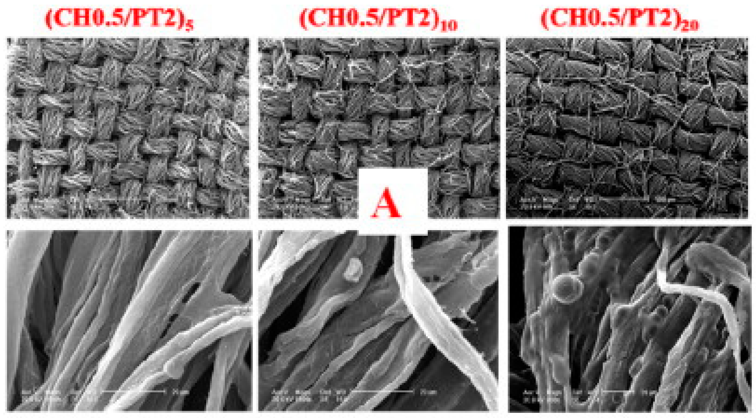 Molecules 25 04046 g009