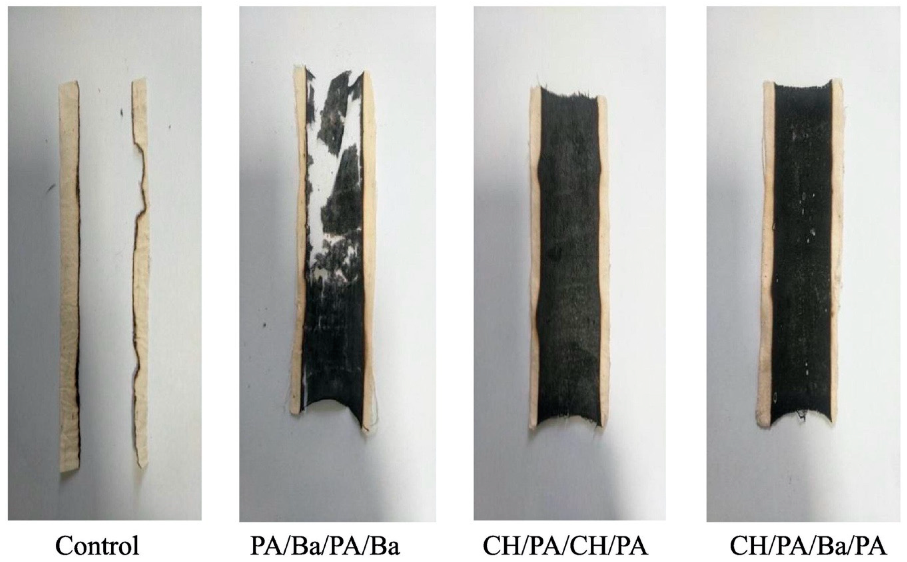 Molecules 25 04046 g012