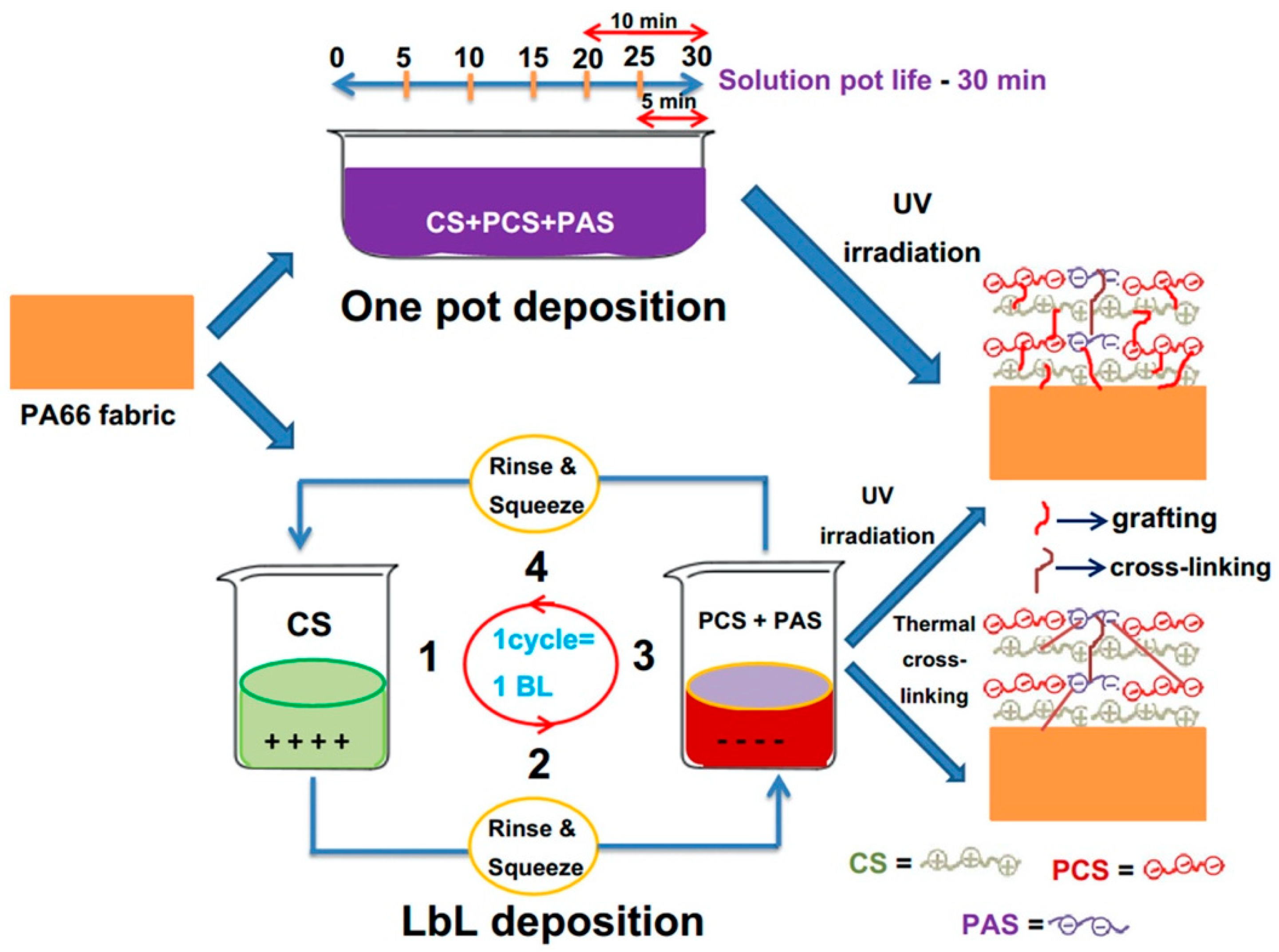 Molecules 25 04046 g016