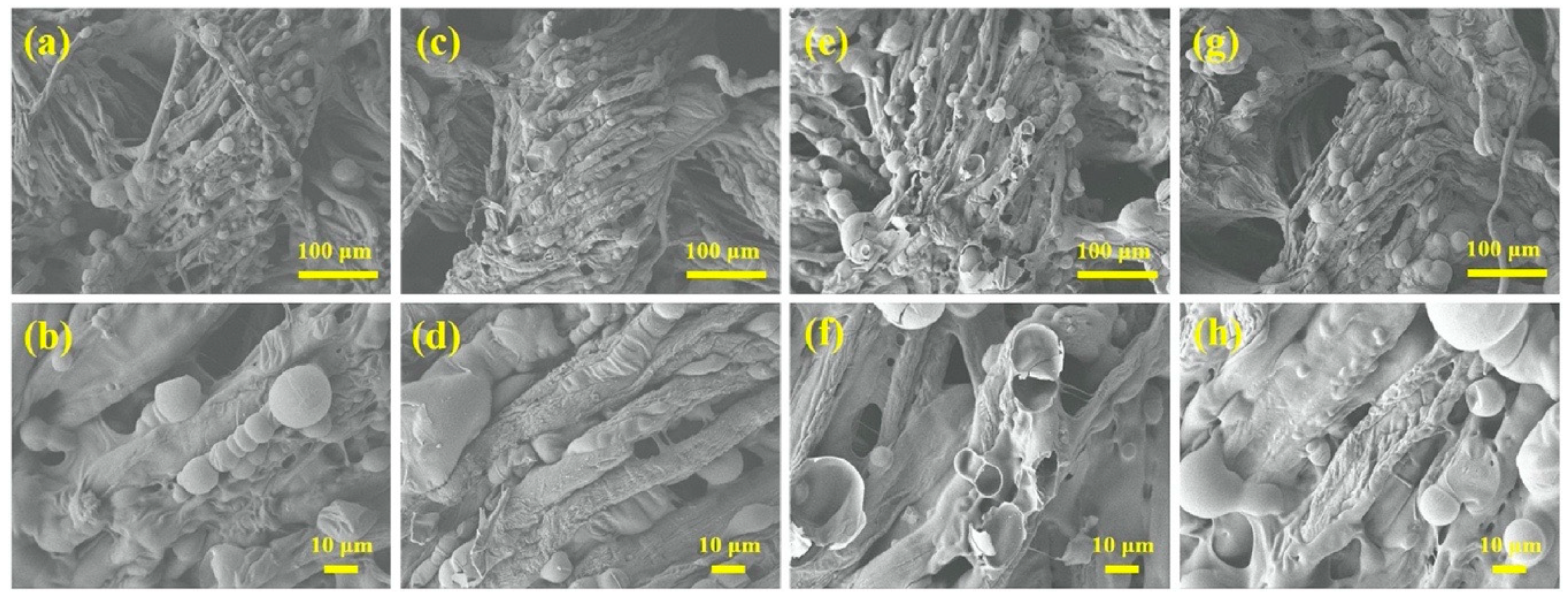 Molecules 25 04046 g017