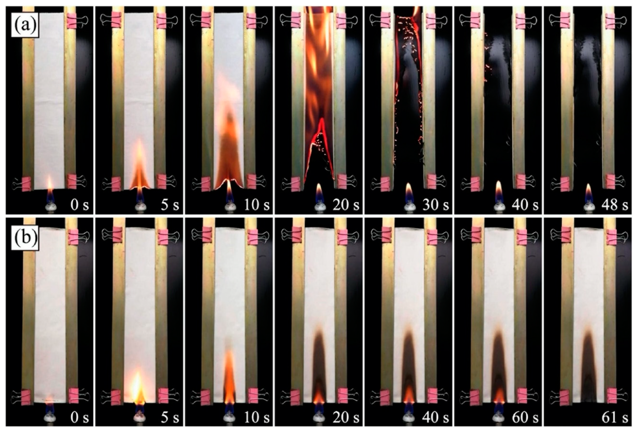 Molecules 25 04046 g021