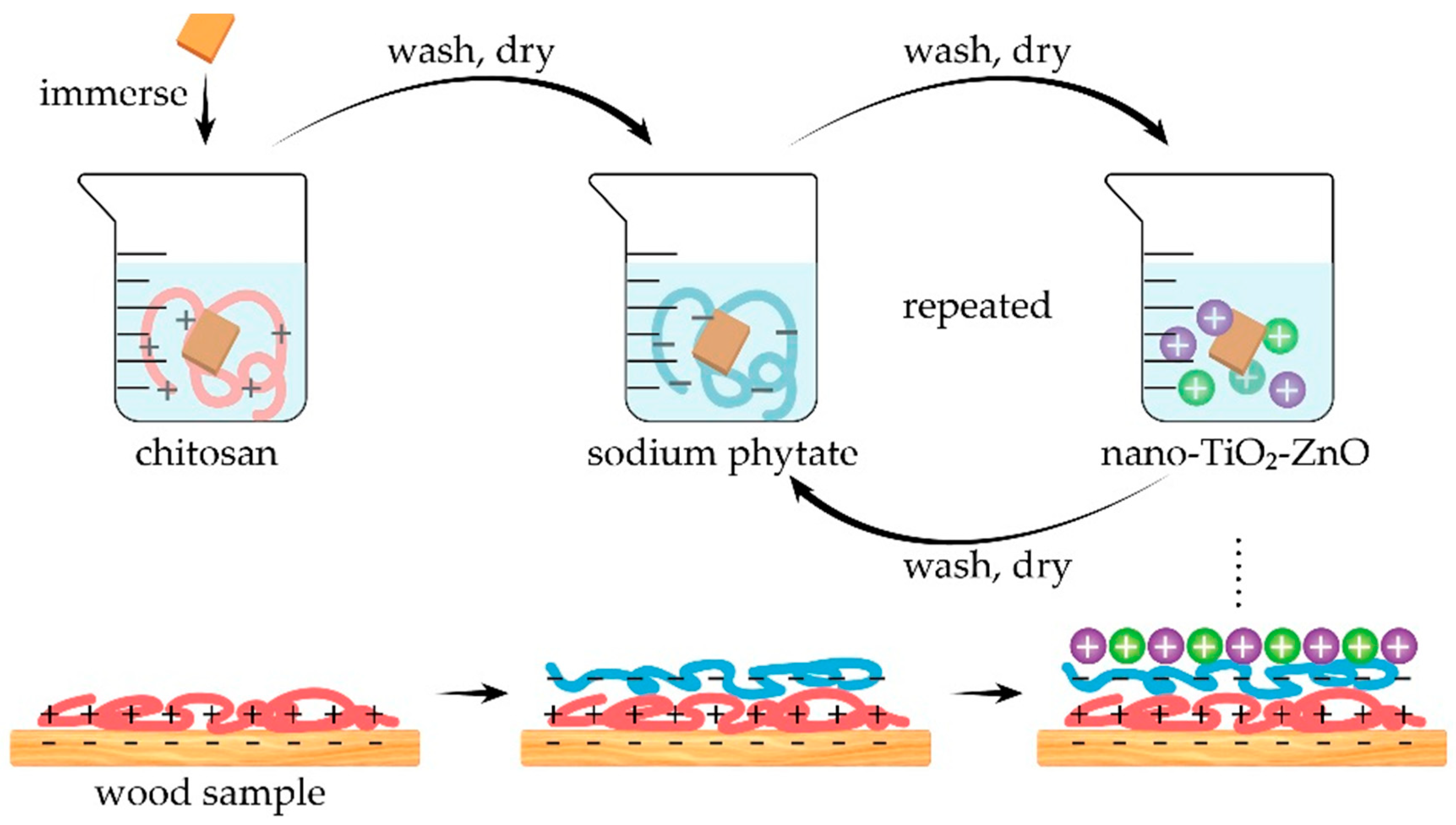 Molecules 25 04046 g031