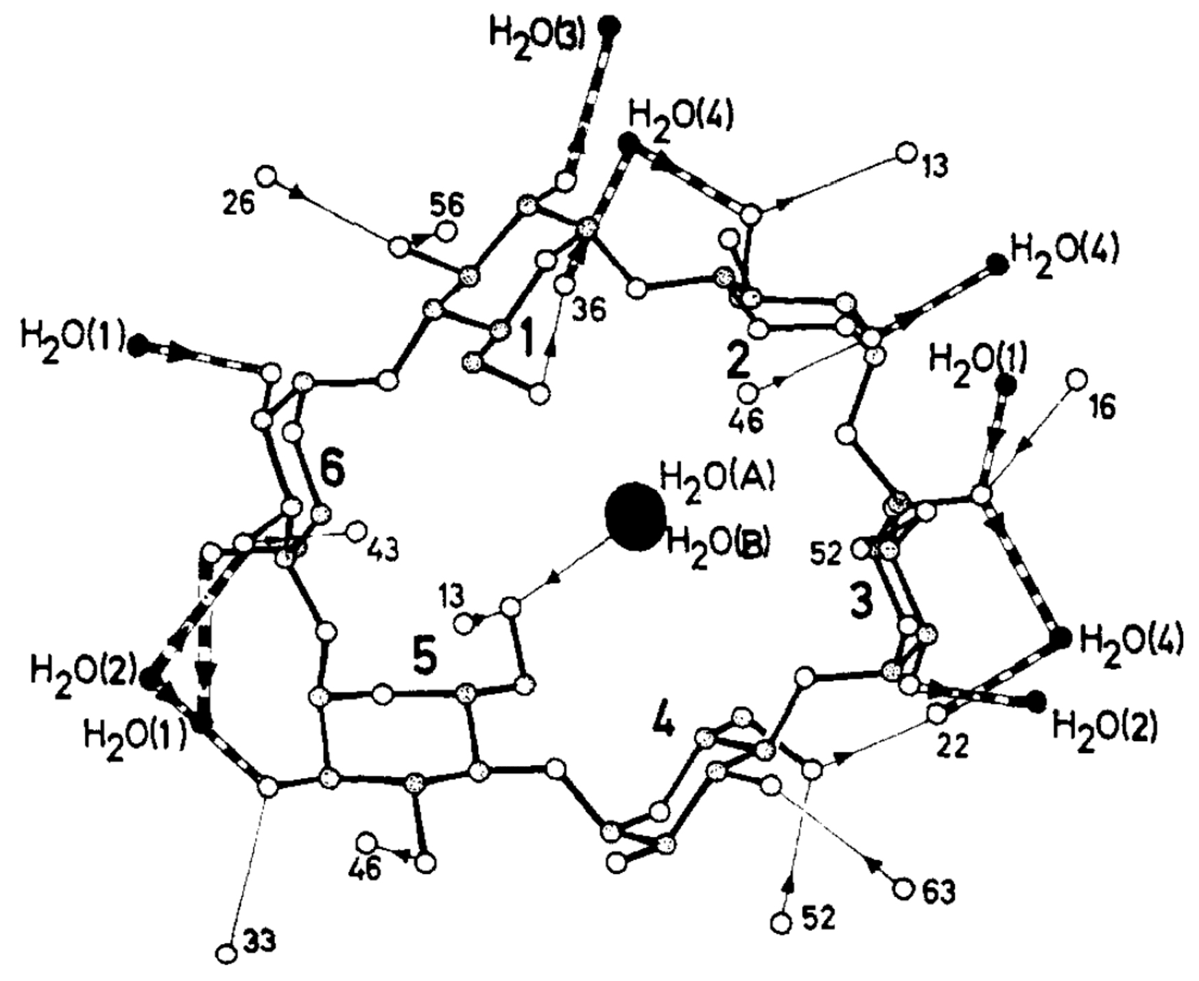 Molecules Free Full Text Noncovalent Complexes Of Cyclodextrin With Small Organic Molecules Applications And Insights Into Host Guest Interactions In The Gas Phase And Condensed Phase Html Molecules Free Full Text Noncovalent Complexes Of Cyclodextrin With Small Organic Molecules Applications And Insights Into Host Guest Interactions In The Gas Phase And Condensed Phase Html