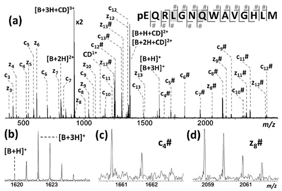 Molecules Free Full Text Noncovalent Complexes Of Cyclodextrin With Small Organic Molecules Applications And Insights Into Host Guest Interactions In The Gas Phase And Condensed Phase Html