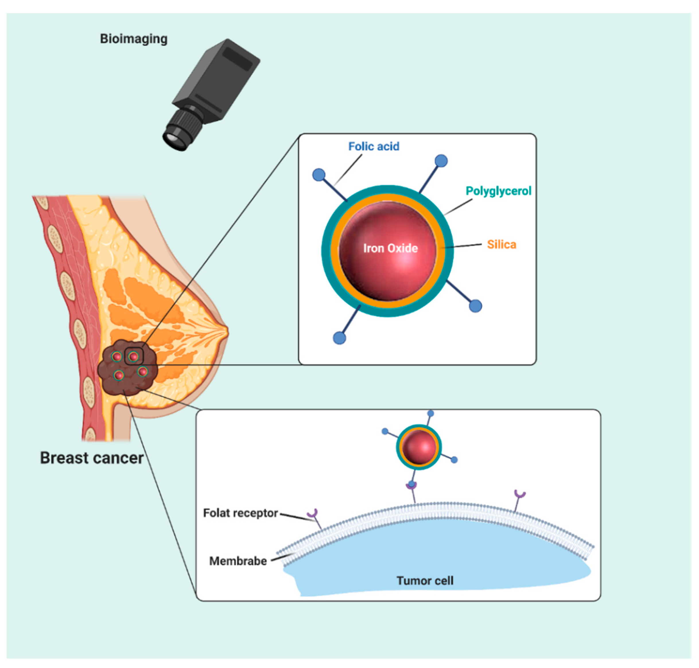 Molecules 25 04053 g009 Molecules 25 04053 g009