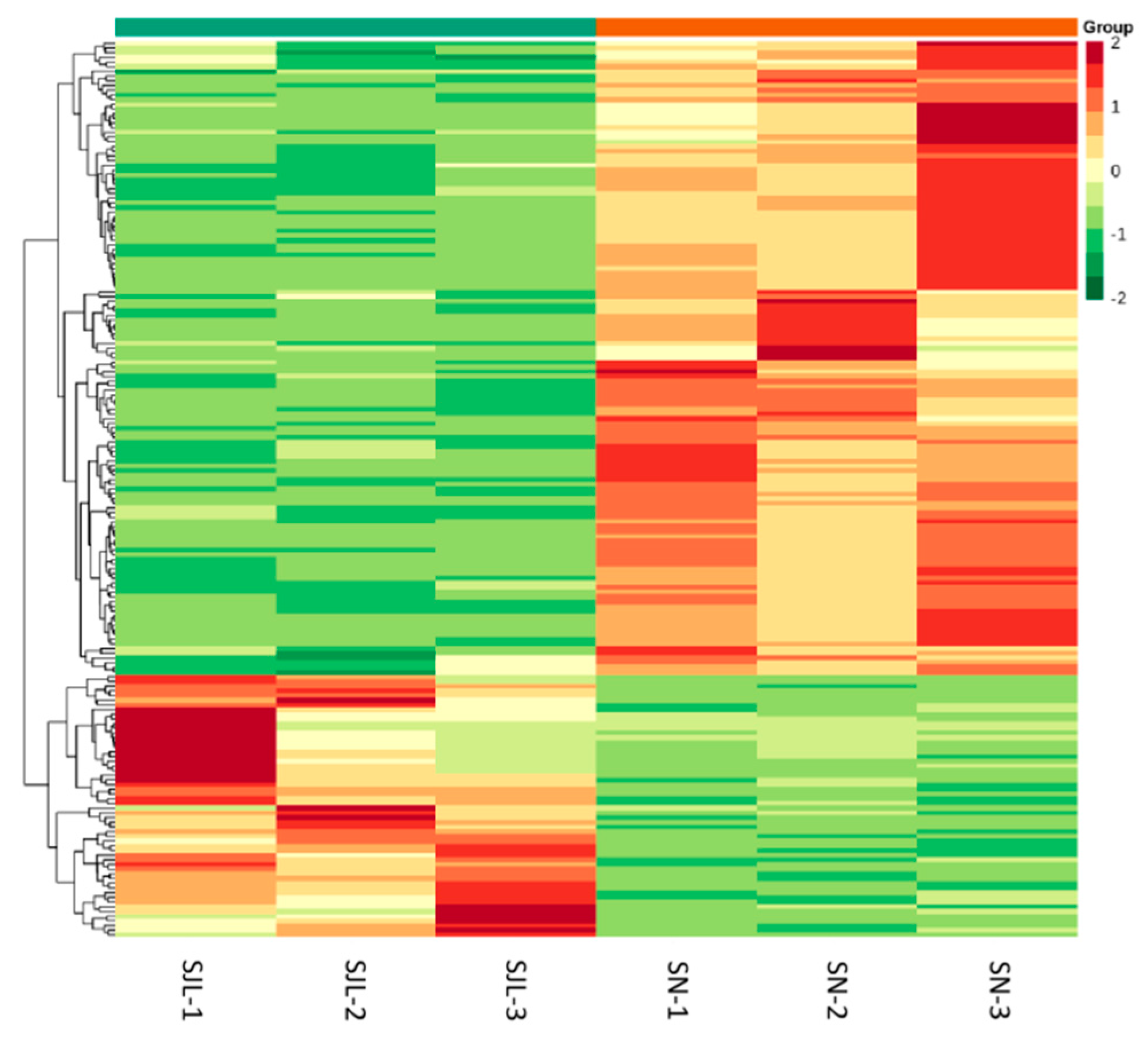 Molecules 25 04062 g005 Molecules 25 04062 g005