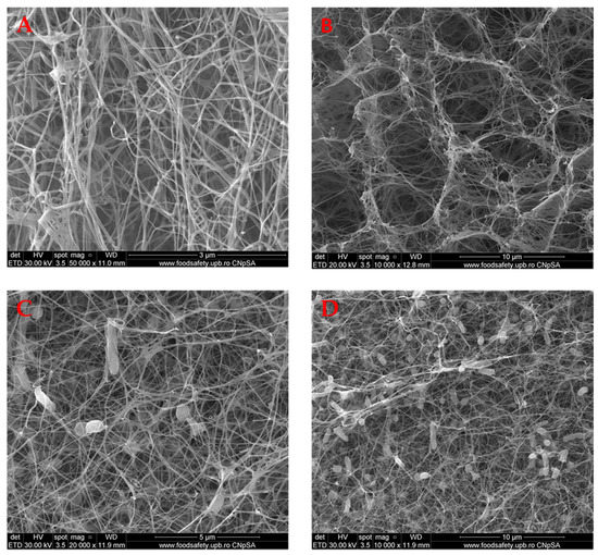 Molecules Free Full Text Antibacterial Activity Of Bacterial molecules-free-full-text-antibacterial-activity-of-bacterial