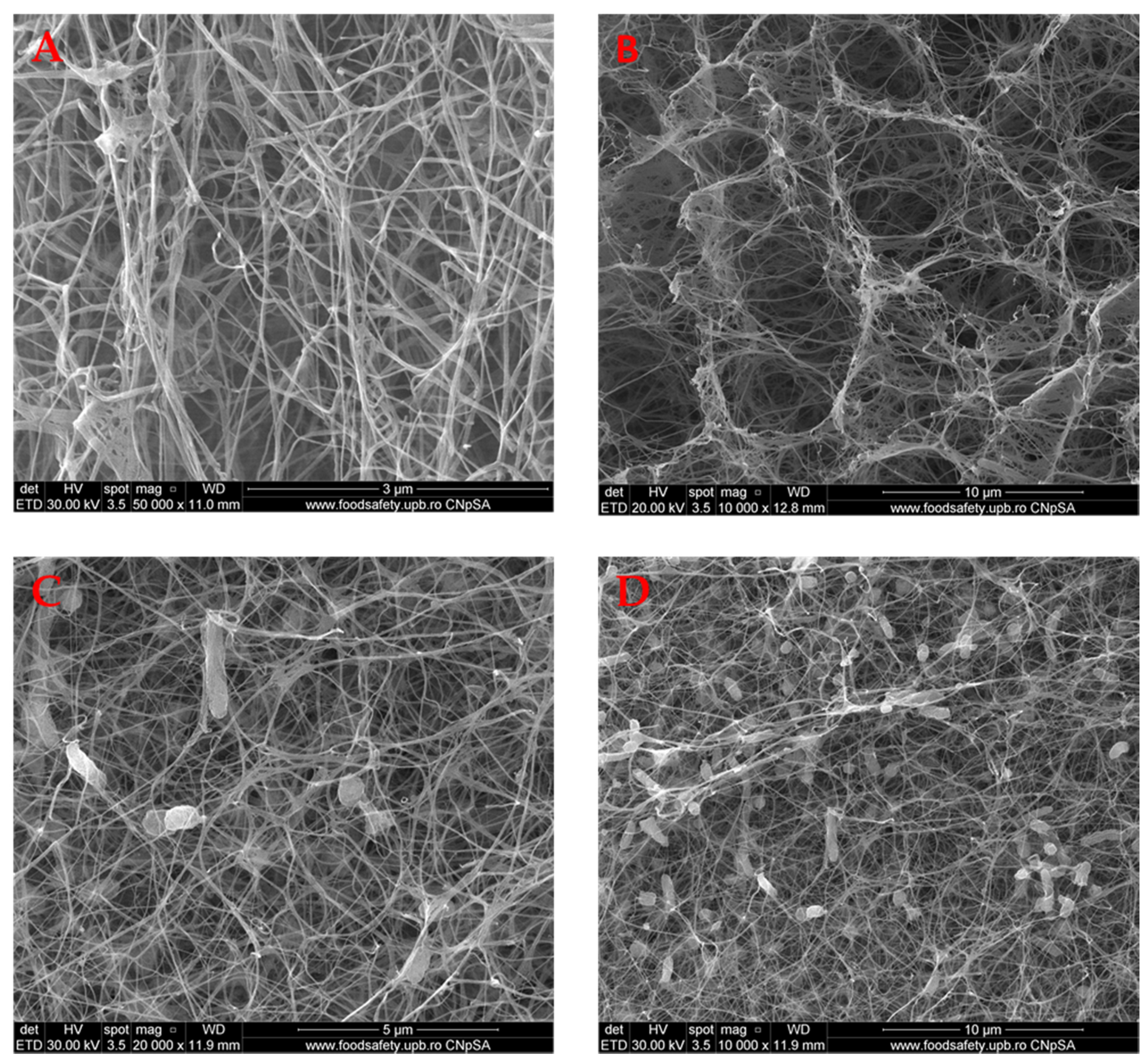 Molecules 25 04069 g001