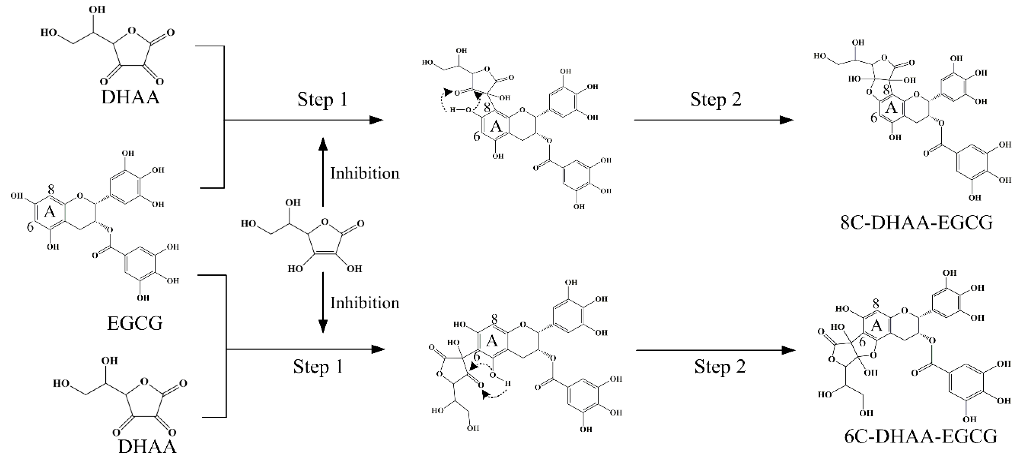 Molecules 25 04076 g004