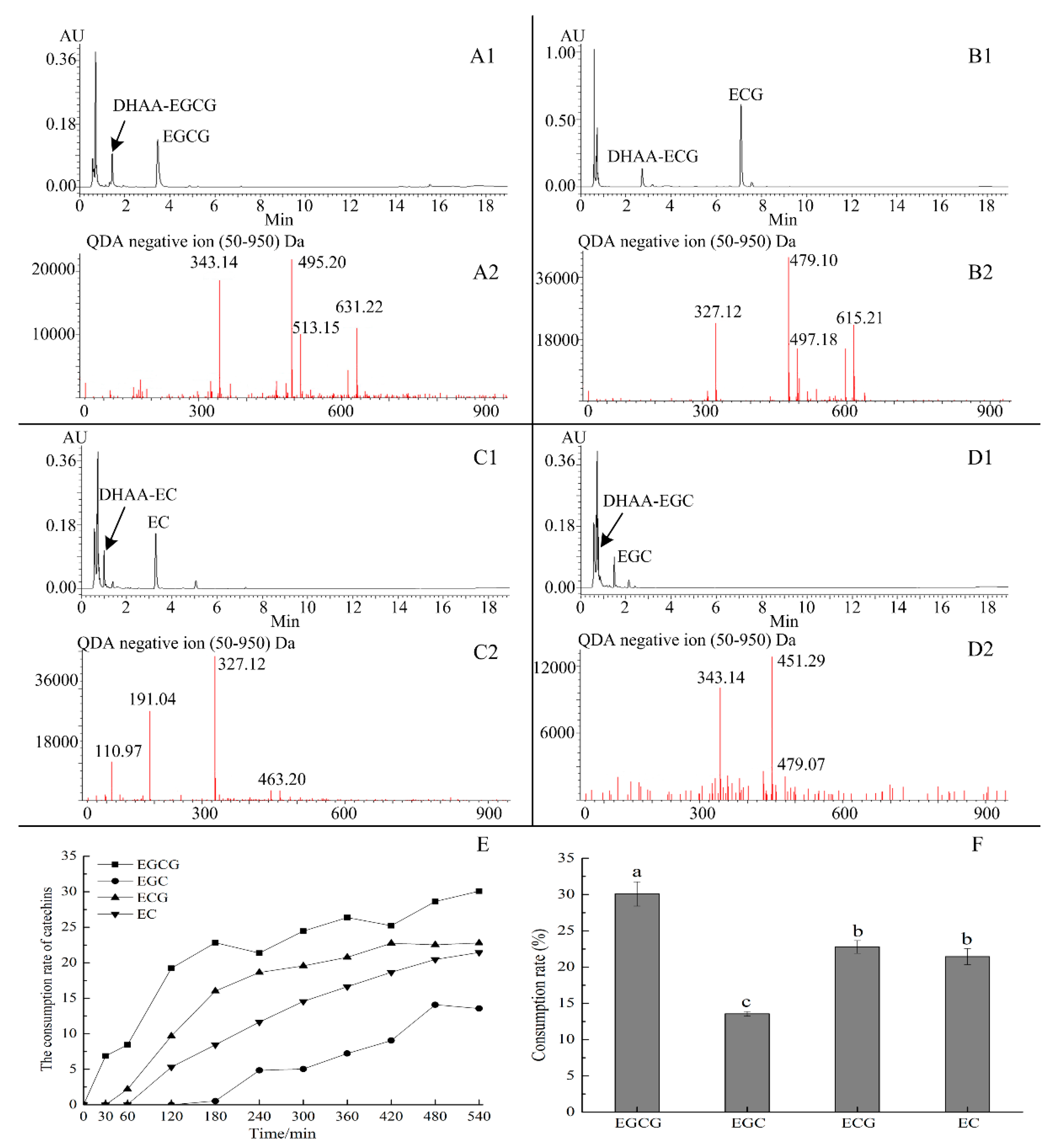 Molecules 25 04076 g005