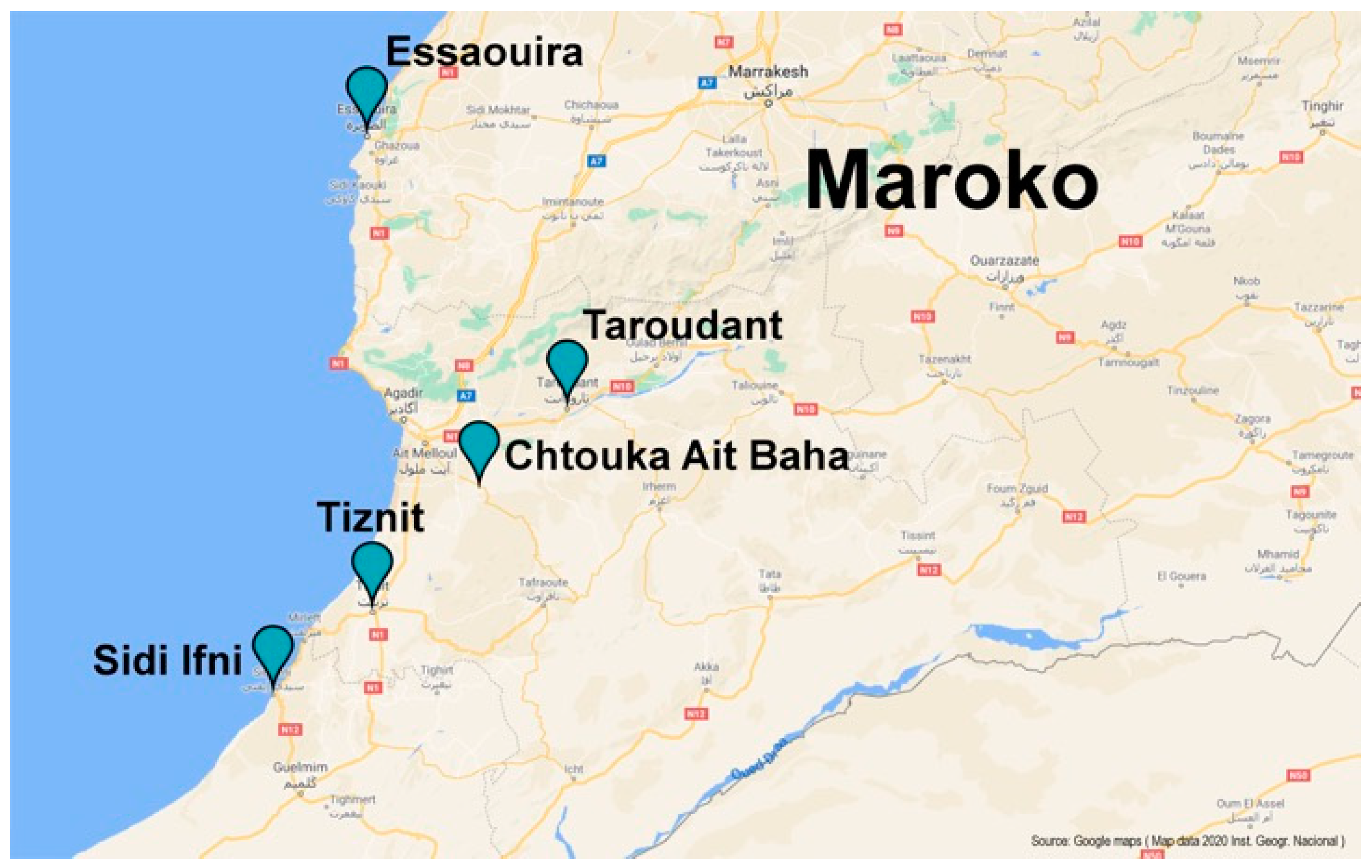 Molecules 25 04080 g006