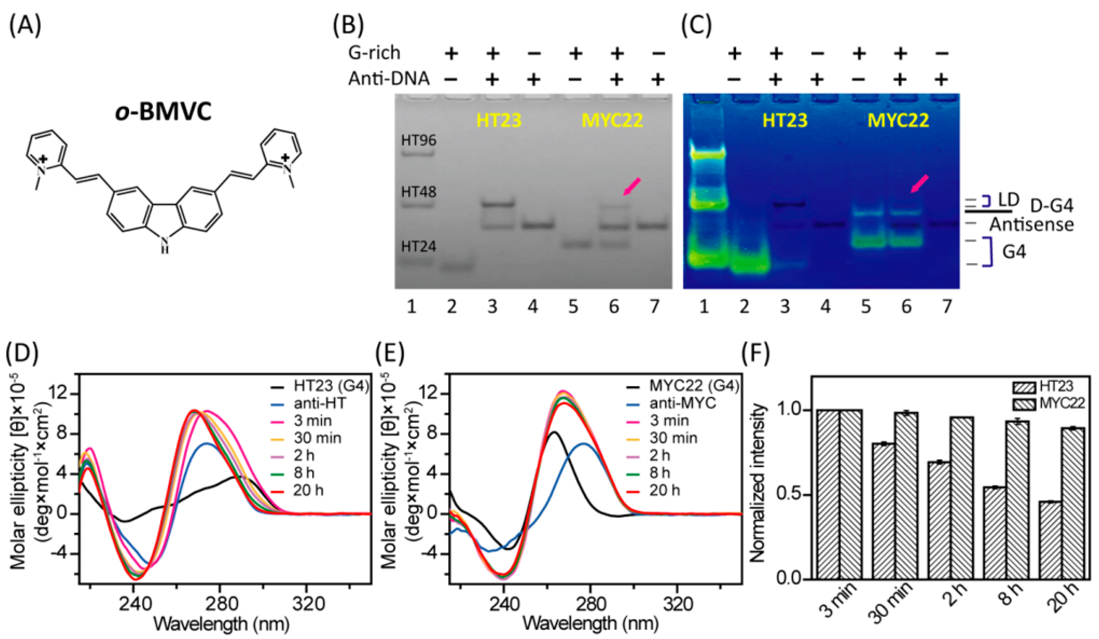 Molecules 25 04083 g001 Molecules 25 04083 g001