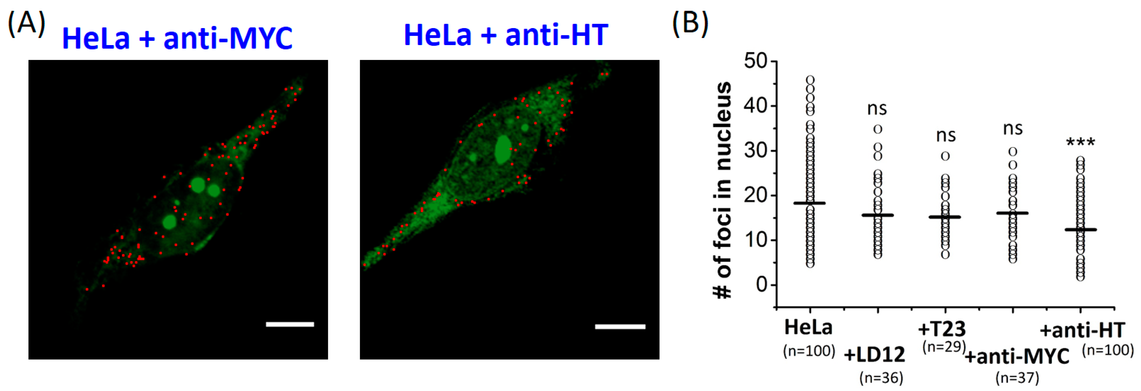 Molecules 25 04083 g002 Molecules 25 04083 g002