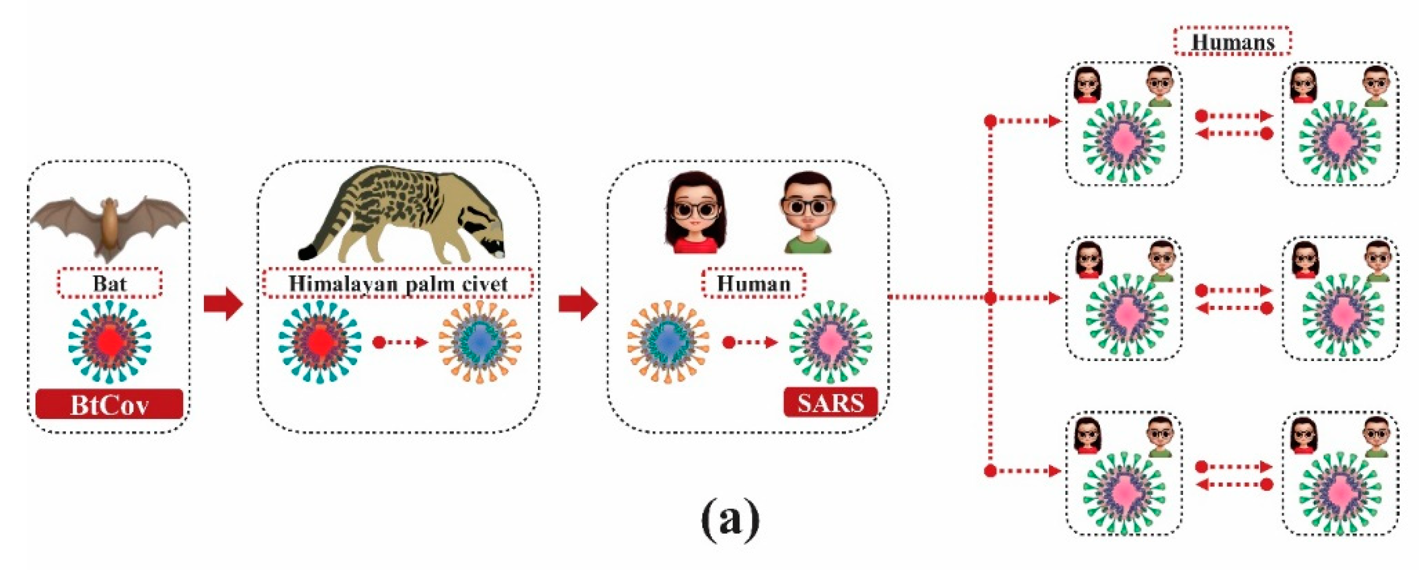 Molecules 25 04086 g002a