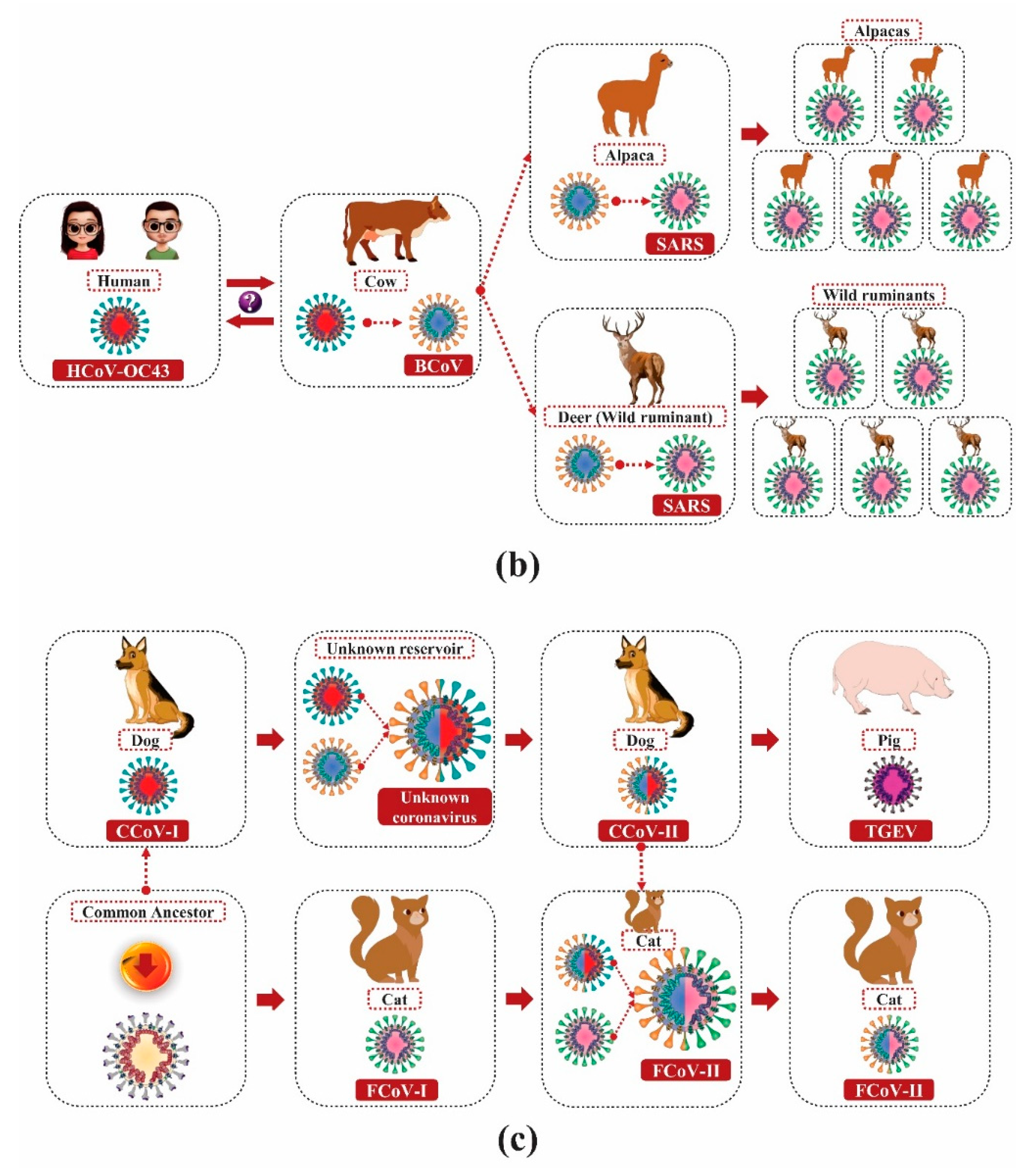 Molecules 25 04086 g002b