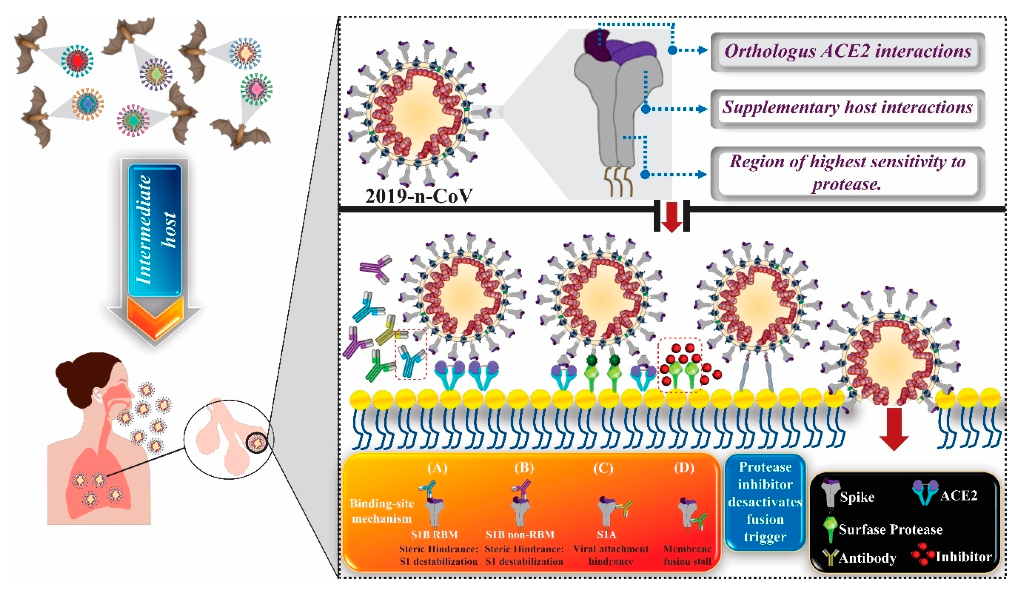 Molecules 25 04086 g003