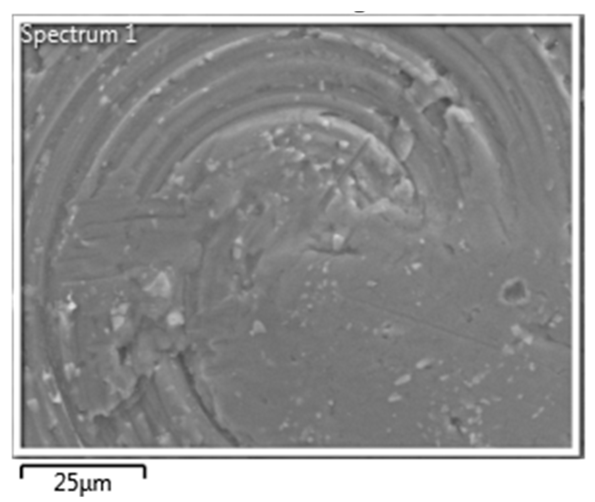 Molecules 25 04087 g001